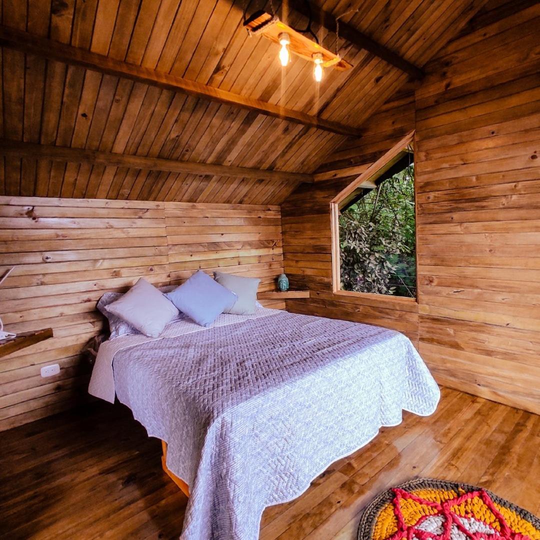 Deluxe Room photo 1