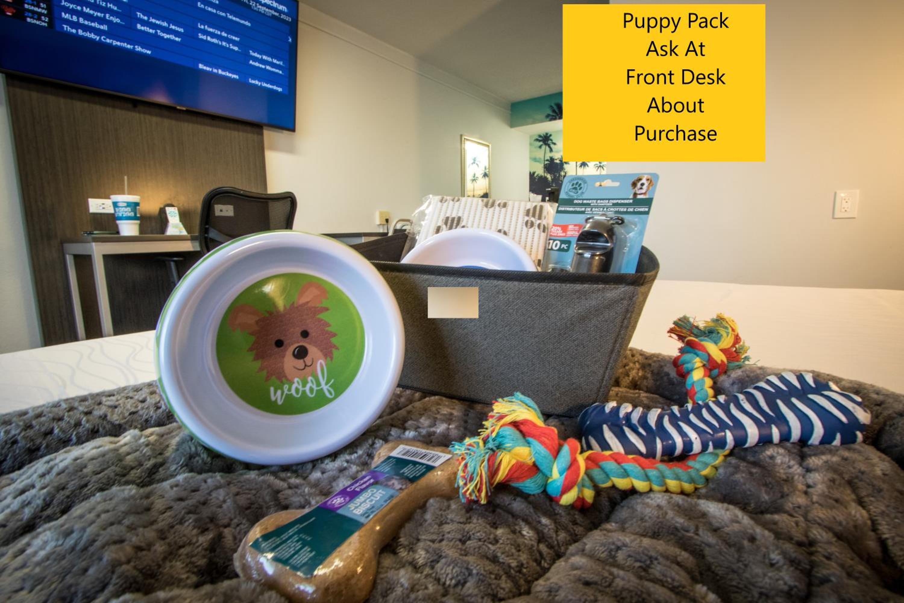 2 Queen Beds Accessible, Non-Smoking (Pet-Friendly) - Photo 4