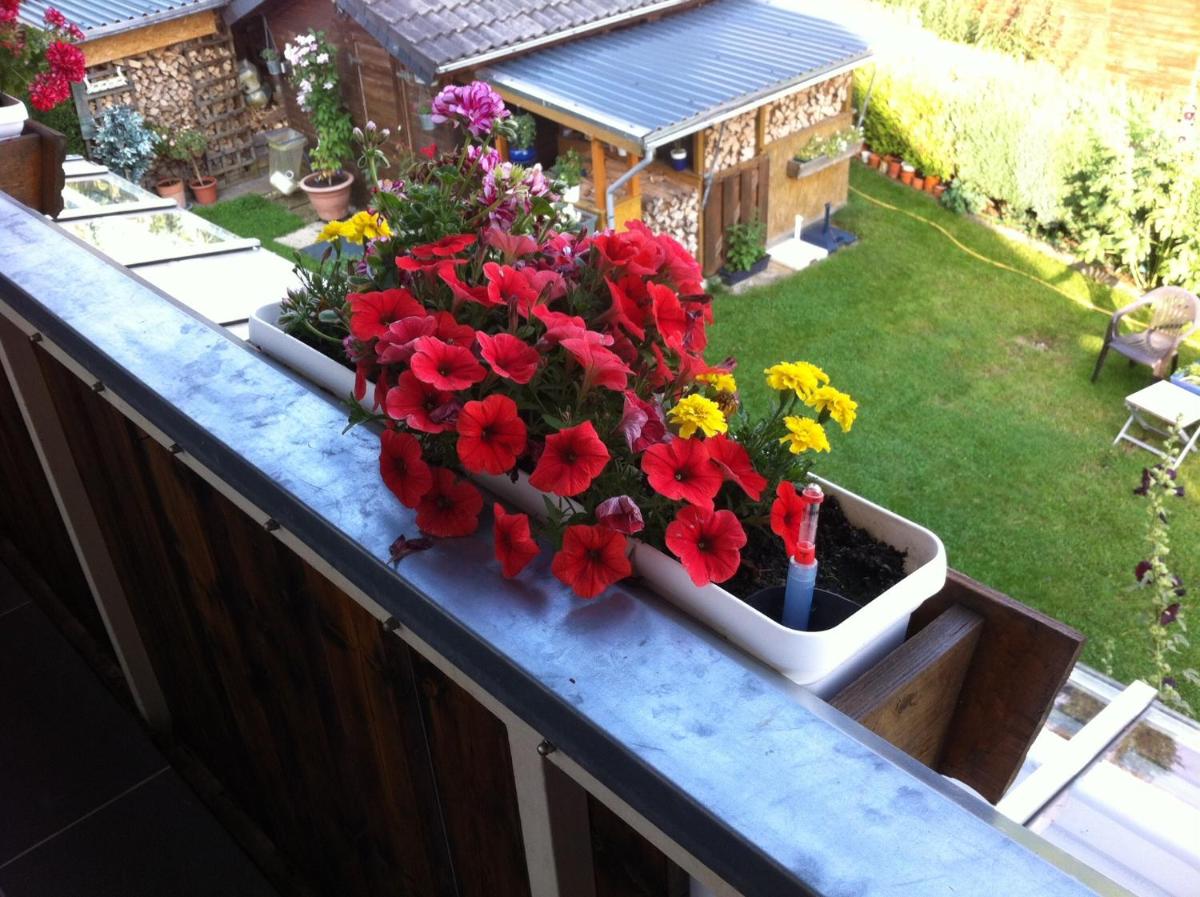 Apartment with Balcony photo 1