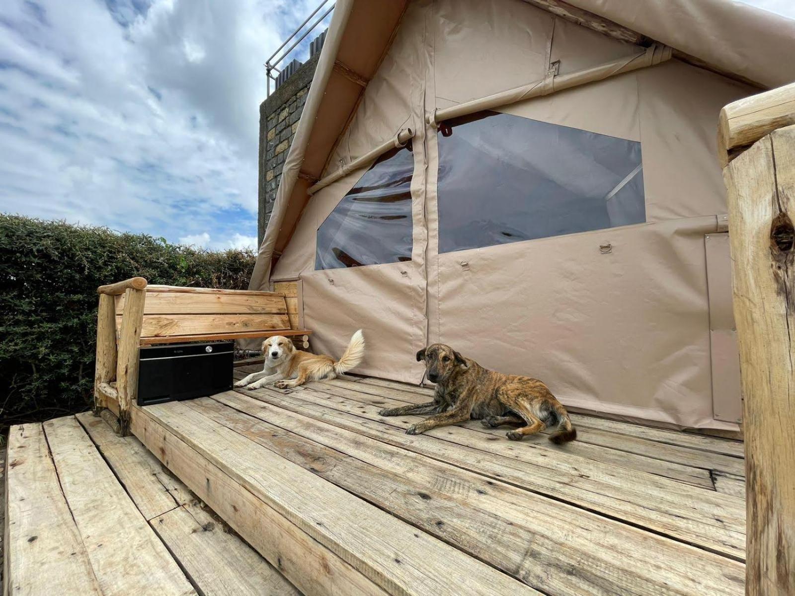 Tent photo 3