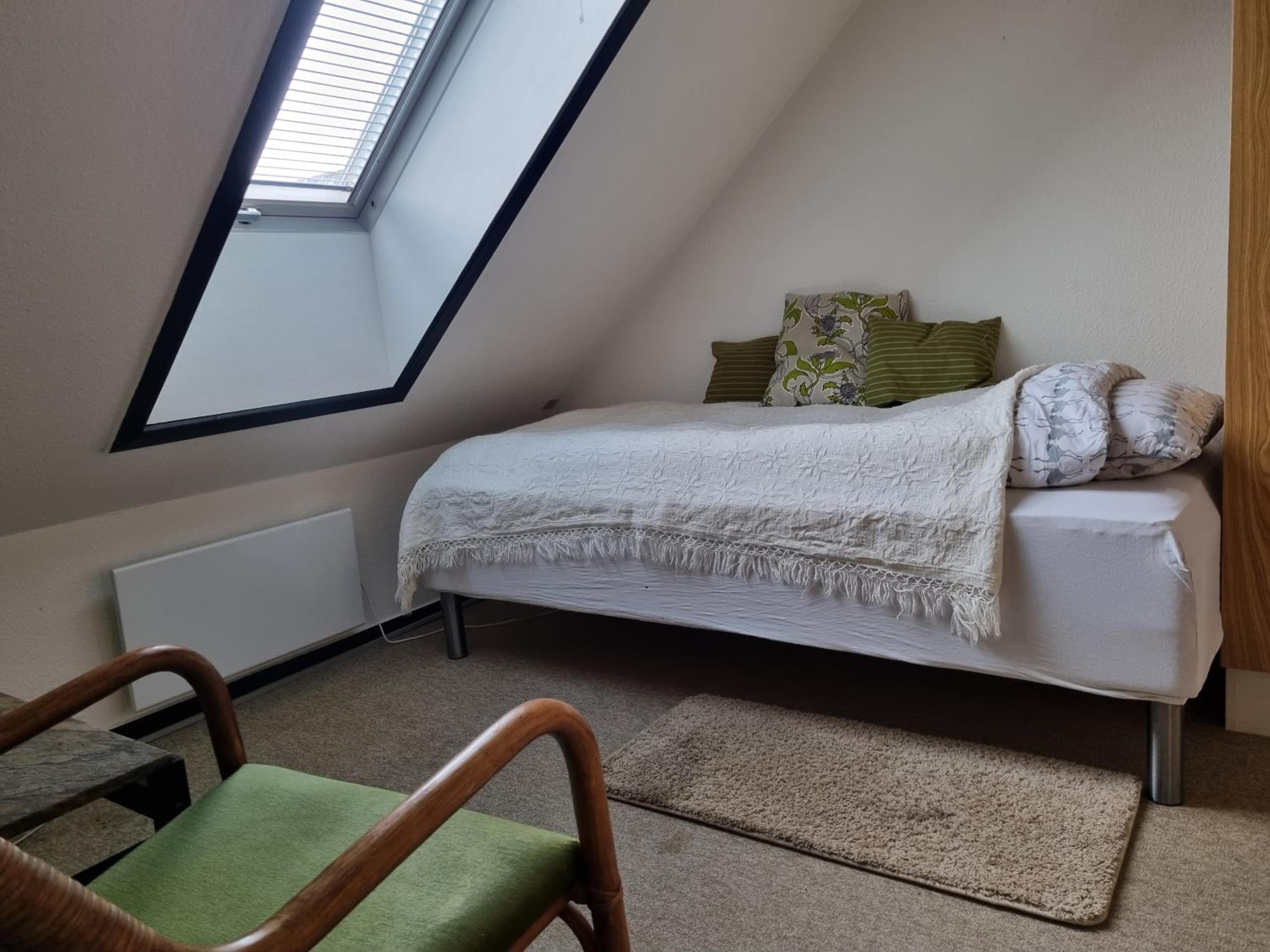 Single Room photo 1