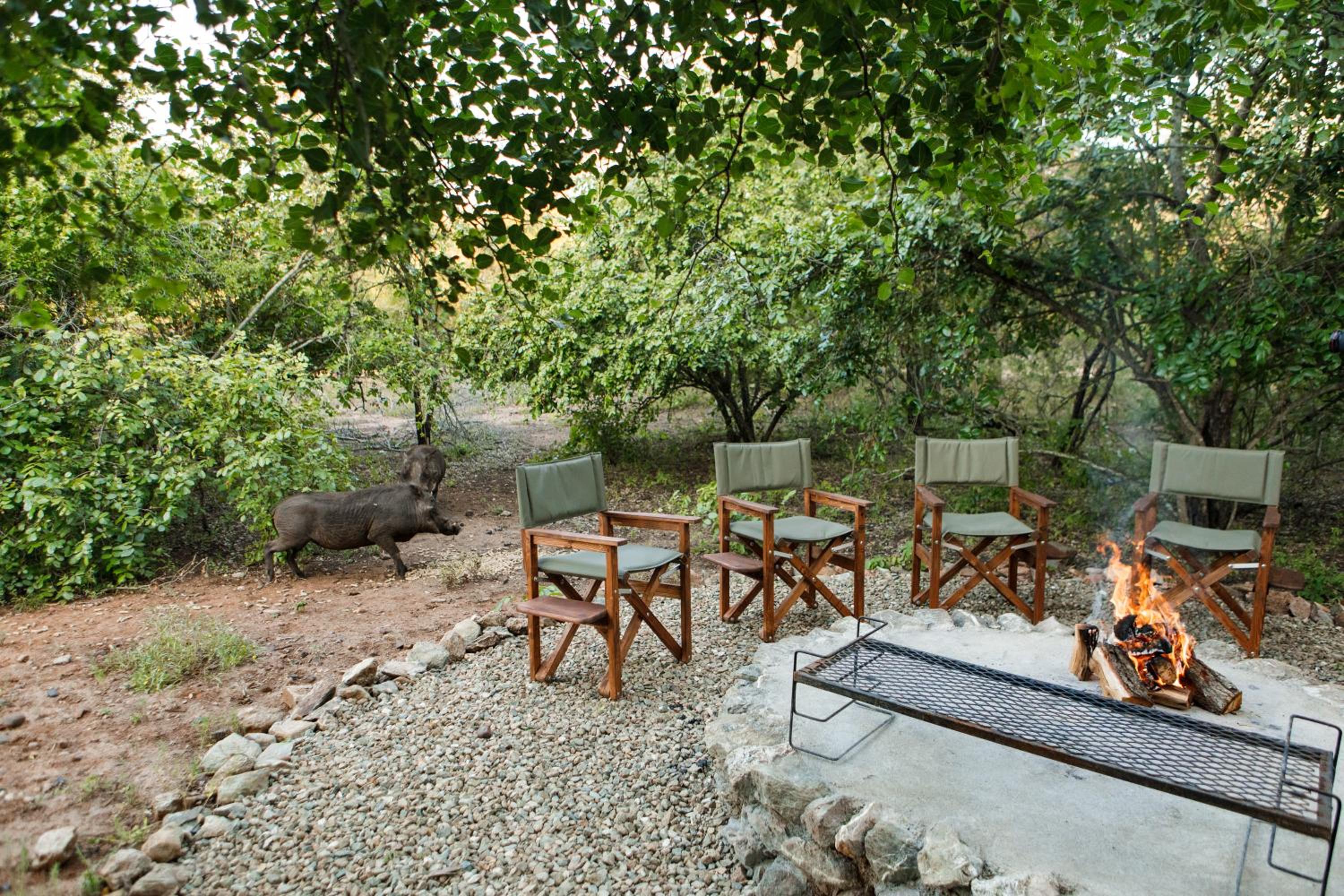 Villa photo 3