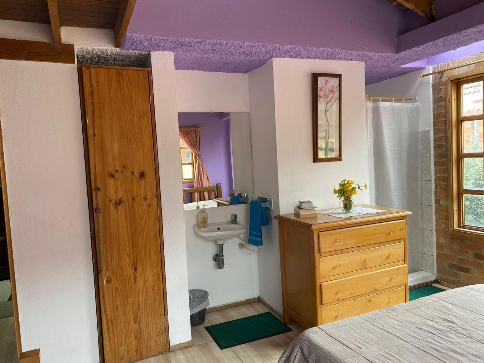 Comfort Triple Room with Shower photo 3