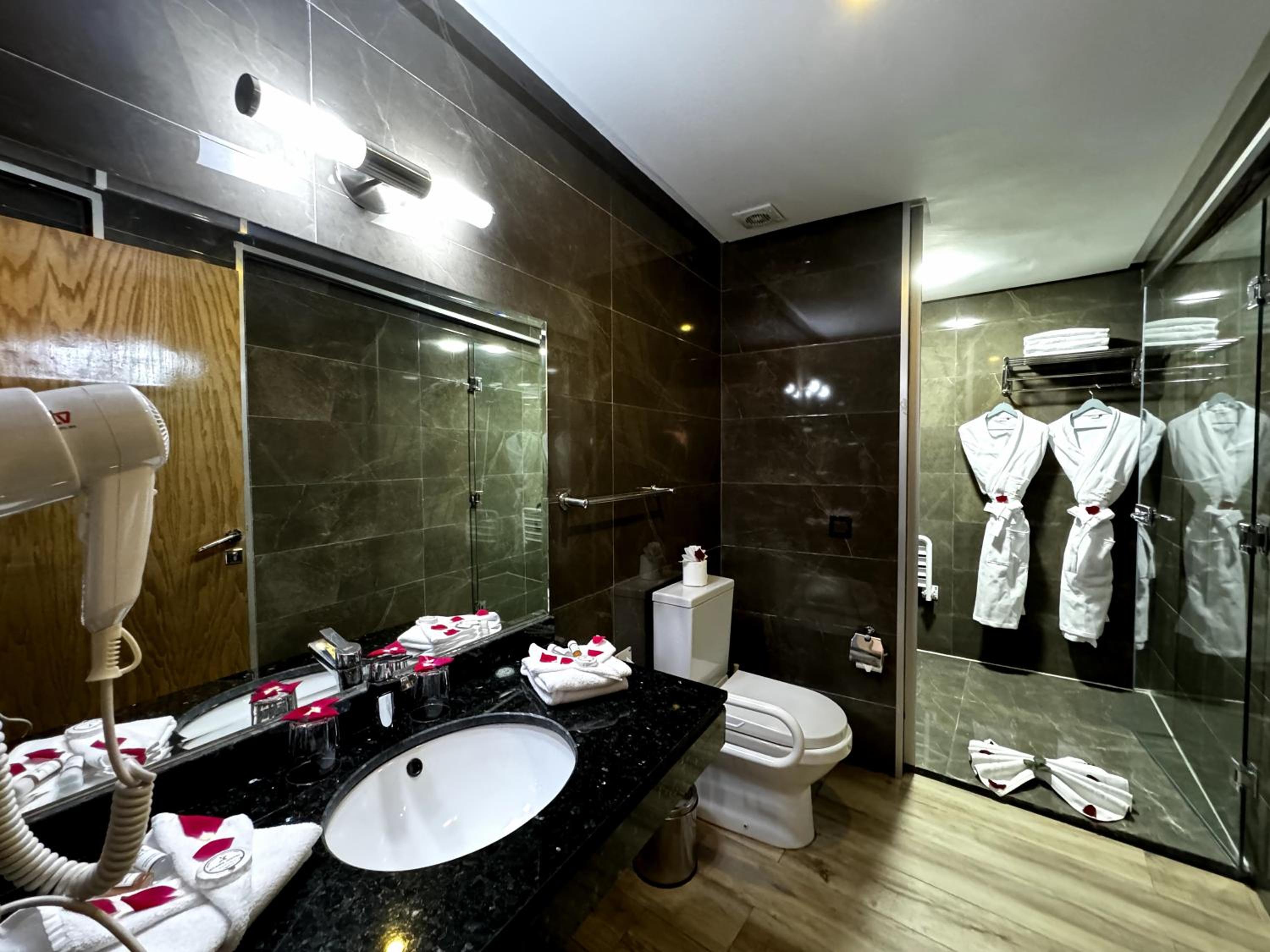 Deluxe Room - Photo 5