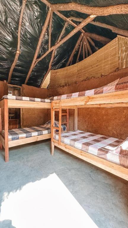 4-Bed Mixed Dormitory Room photo 1