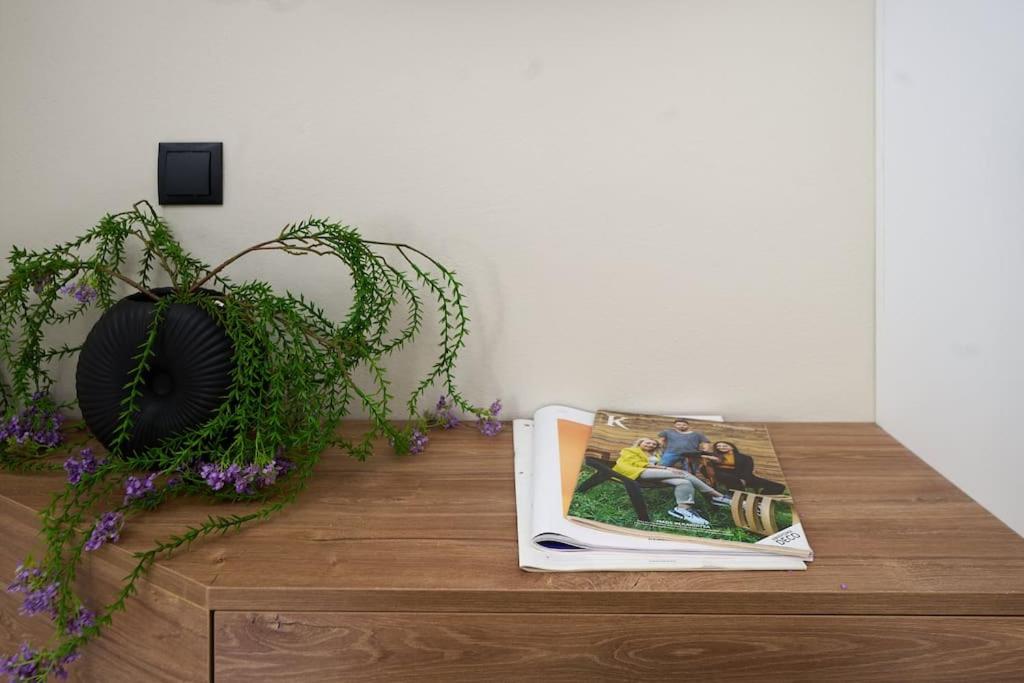 One-Bedroom Apartment photo 3
