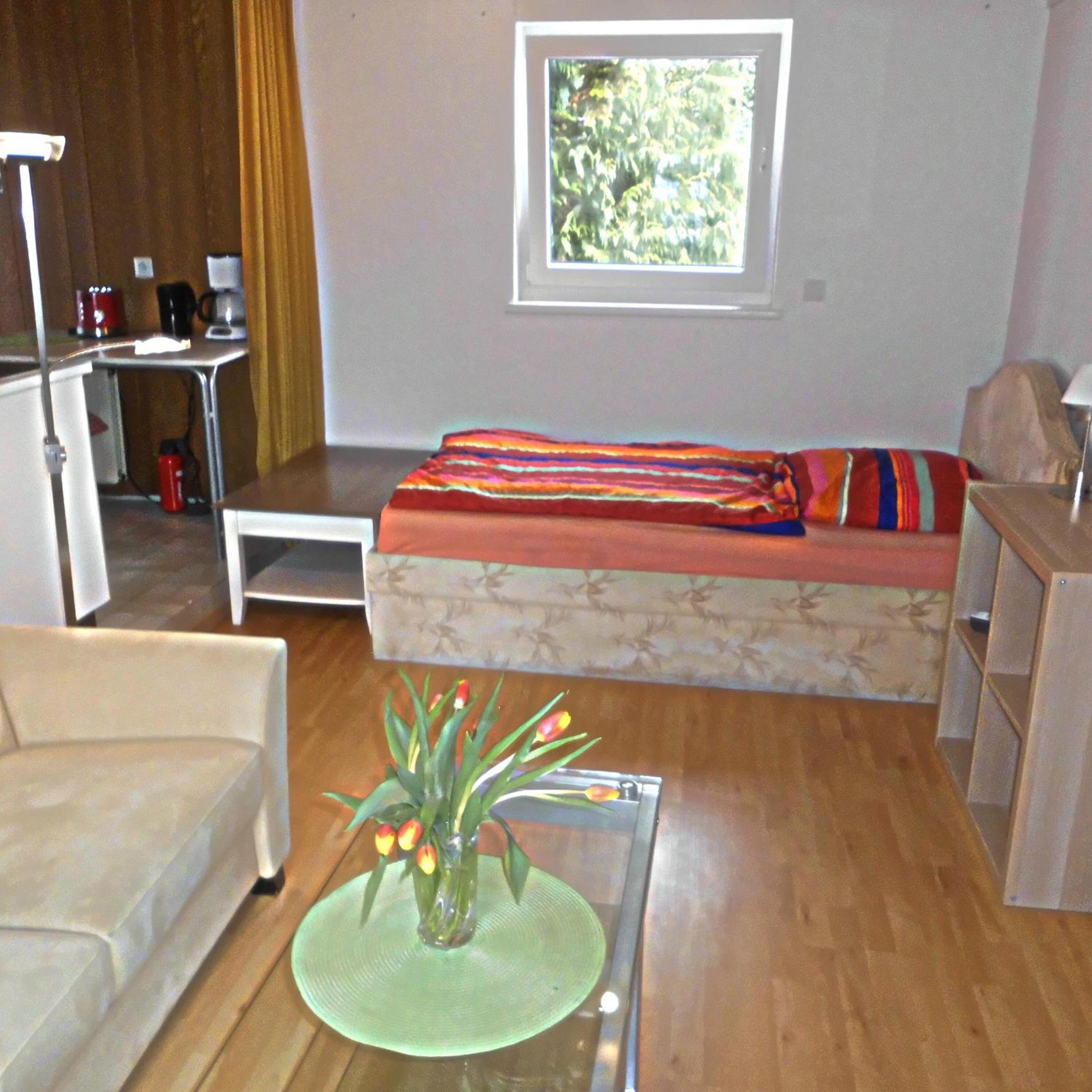 Deluxe Single Room photo 2