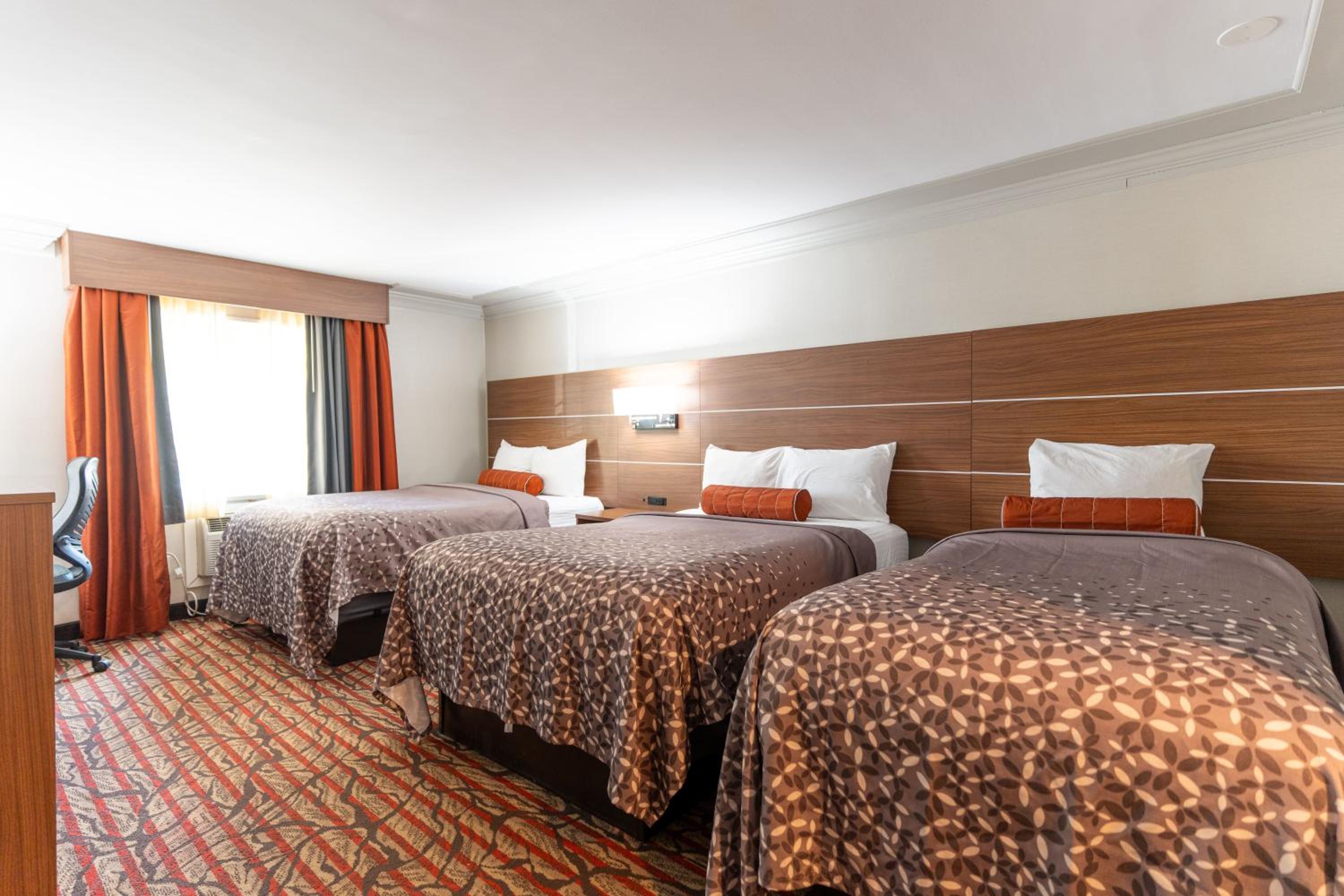 Family Double Room - Photo 8