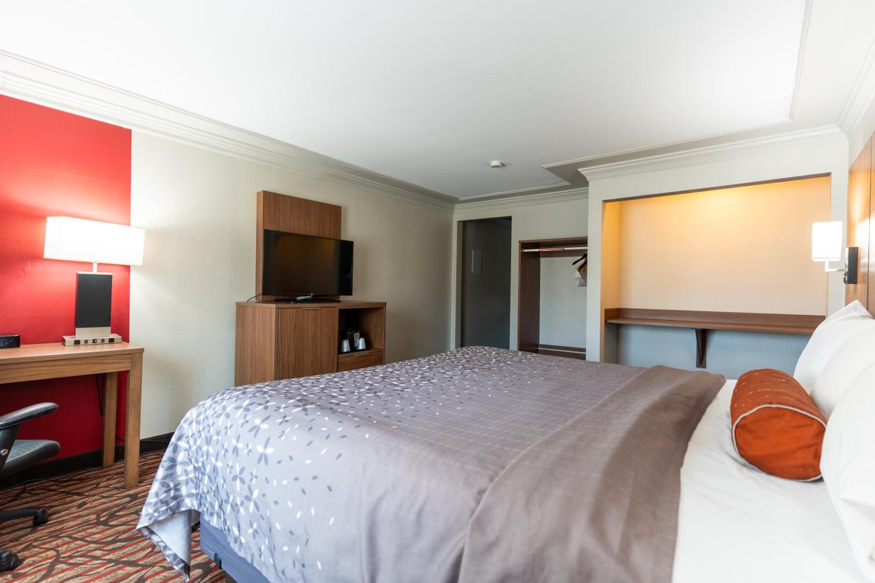 King Room - Non-Smoking - Photo 8