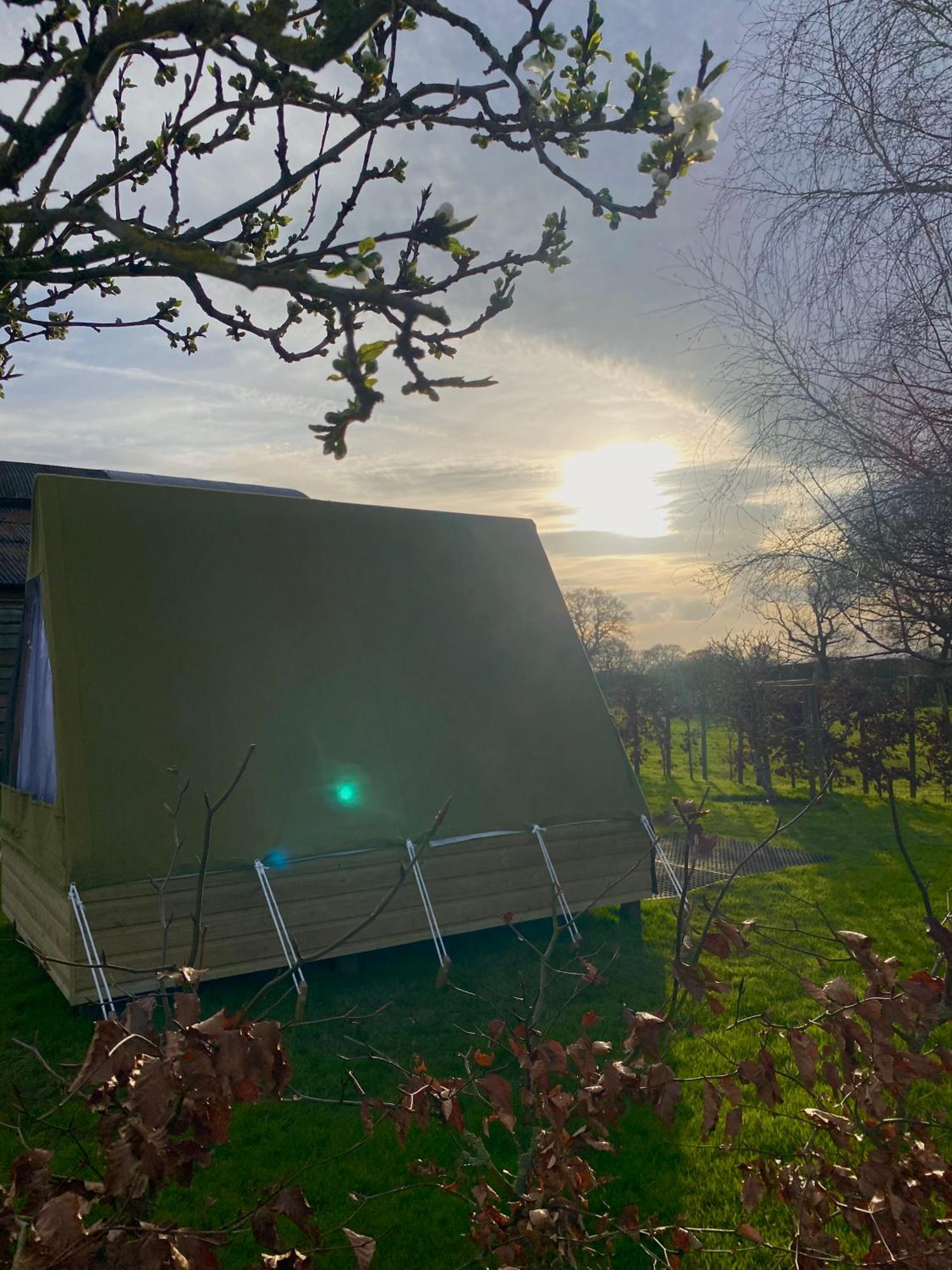 Tent photo 2