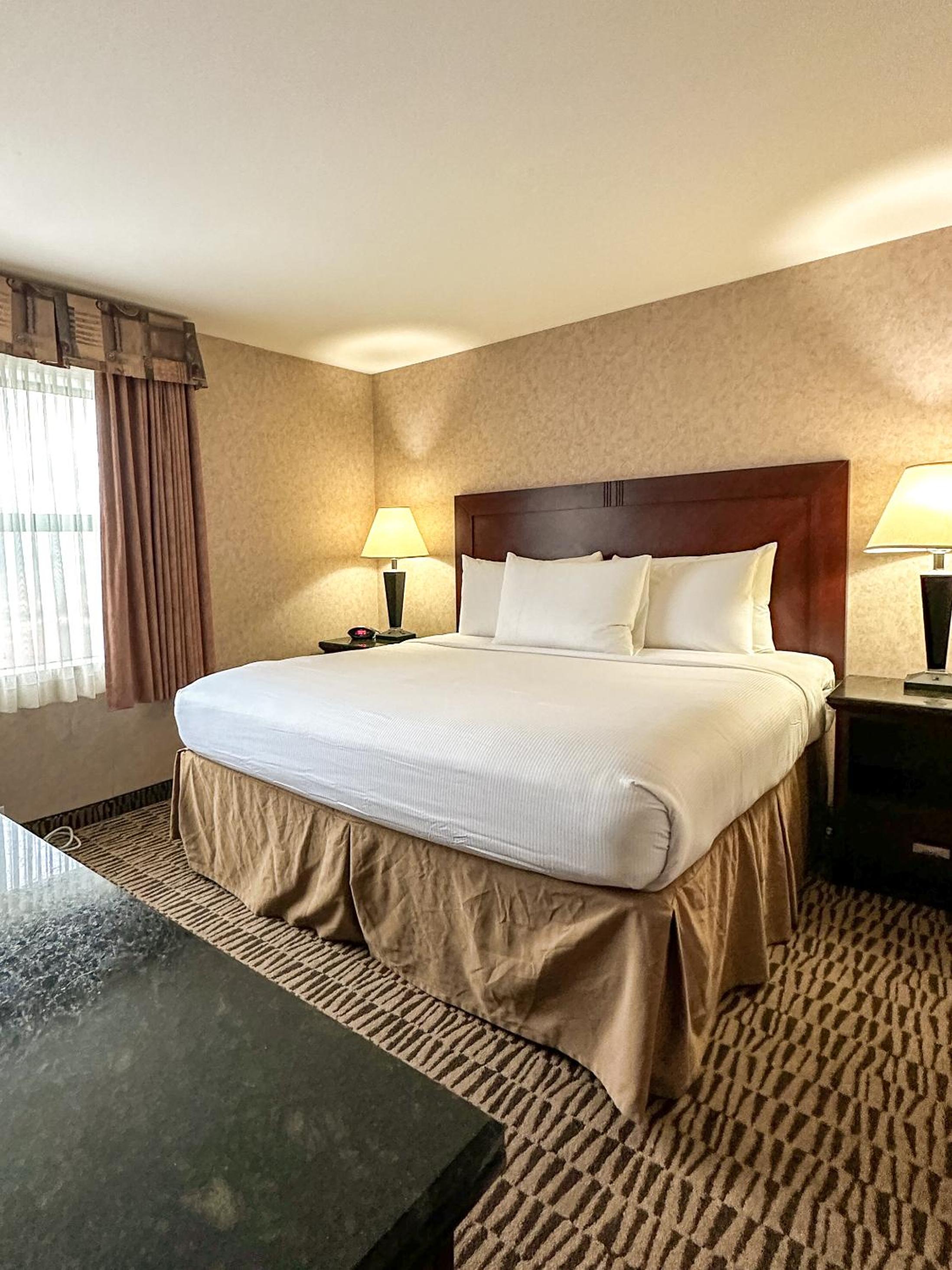 Deluxe King Suite - Photo 1