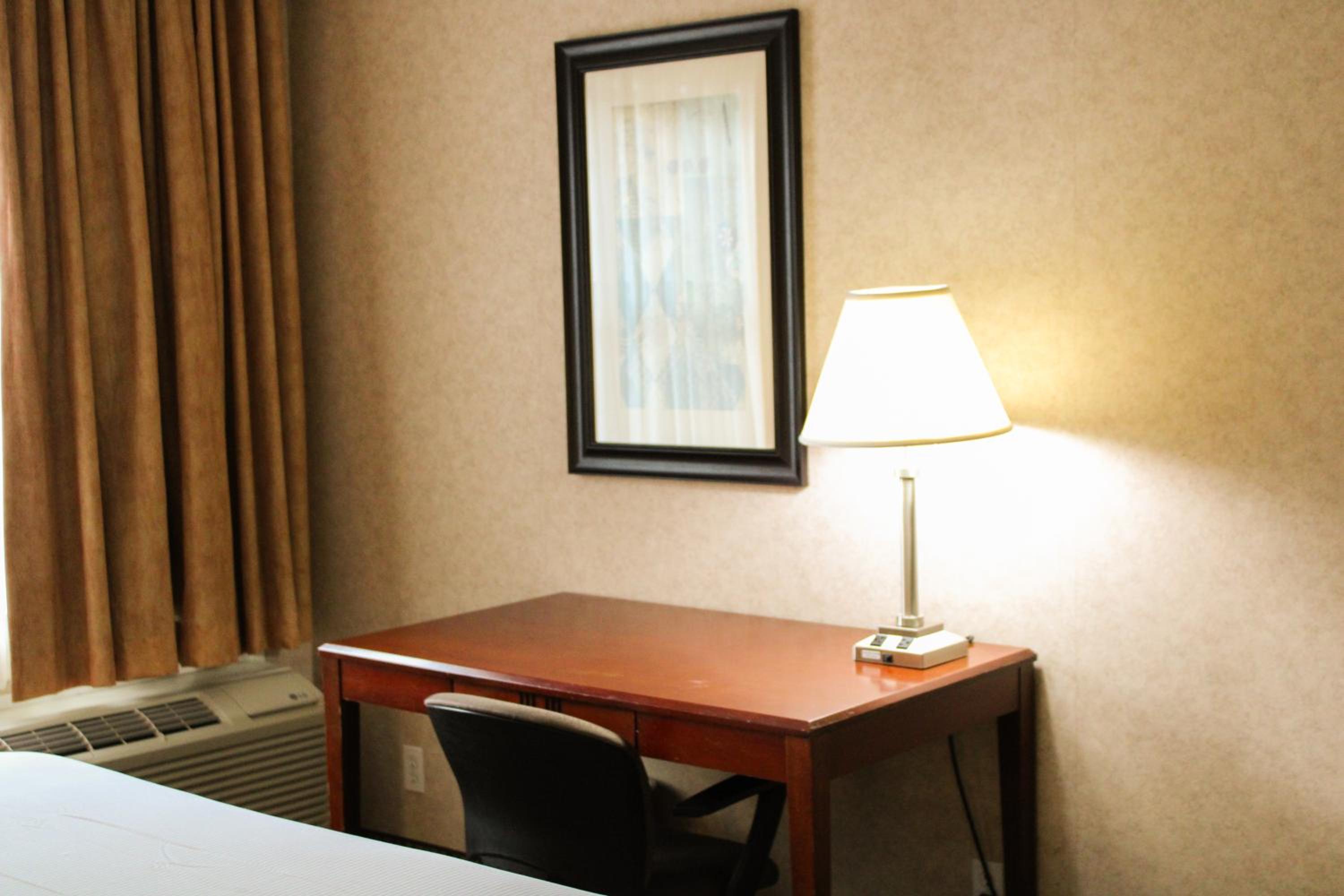 Deluxe King Suite - Photo 3
