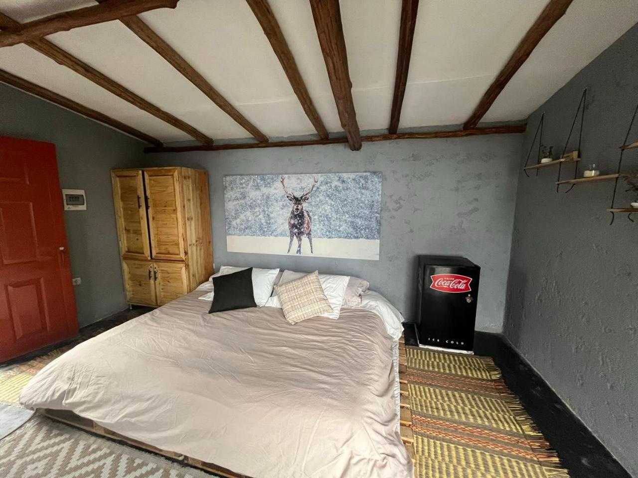 Holiday Home photo 3