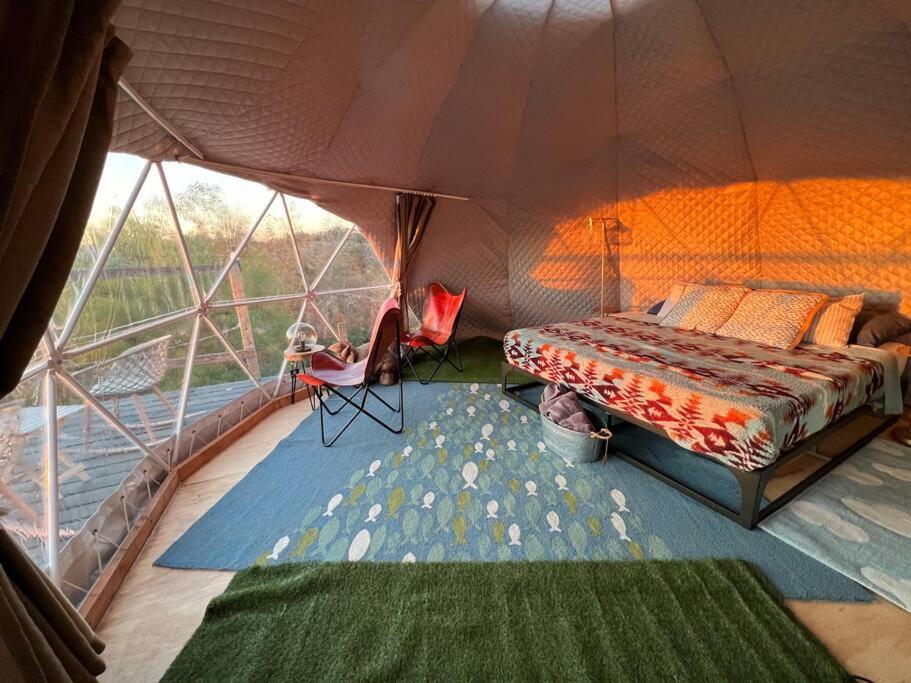 Tent photo 1