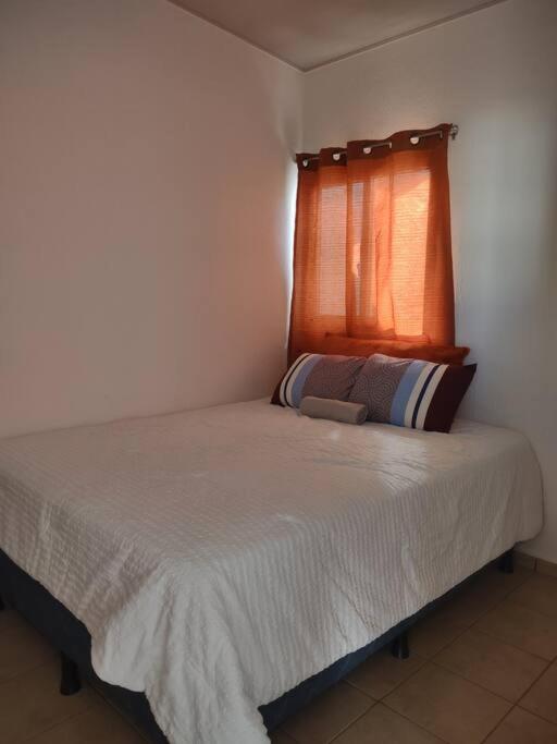One-Bedroom House photo 2