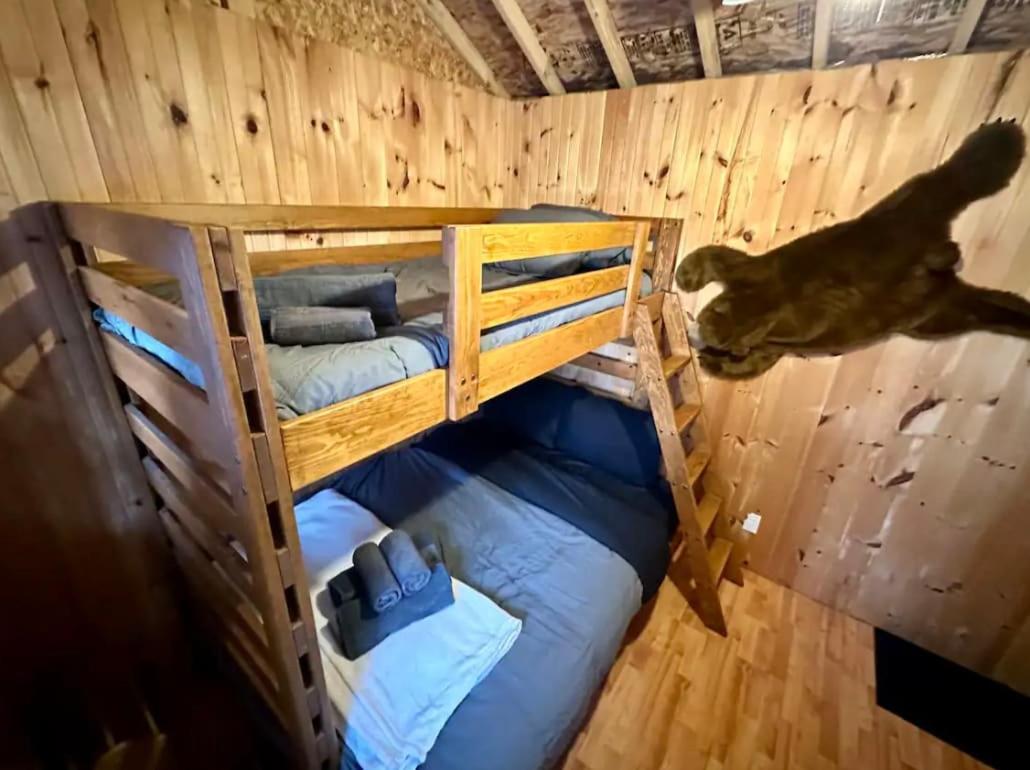 Chalet photo 1