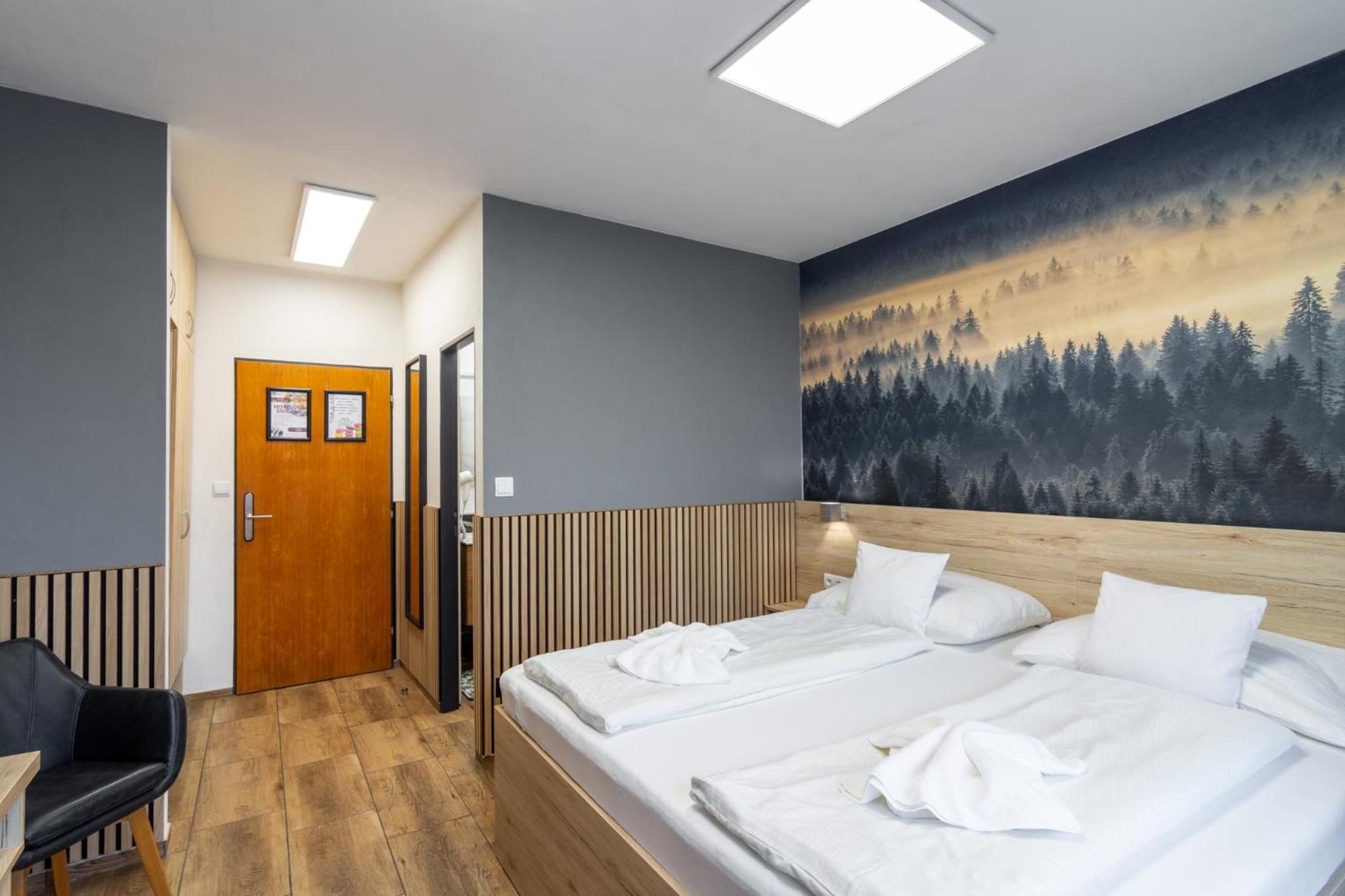 Deluxe Double Room photo 2