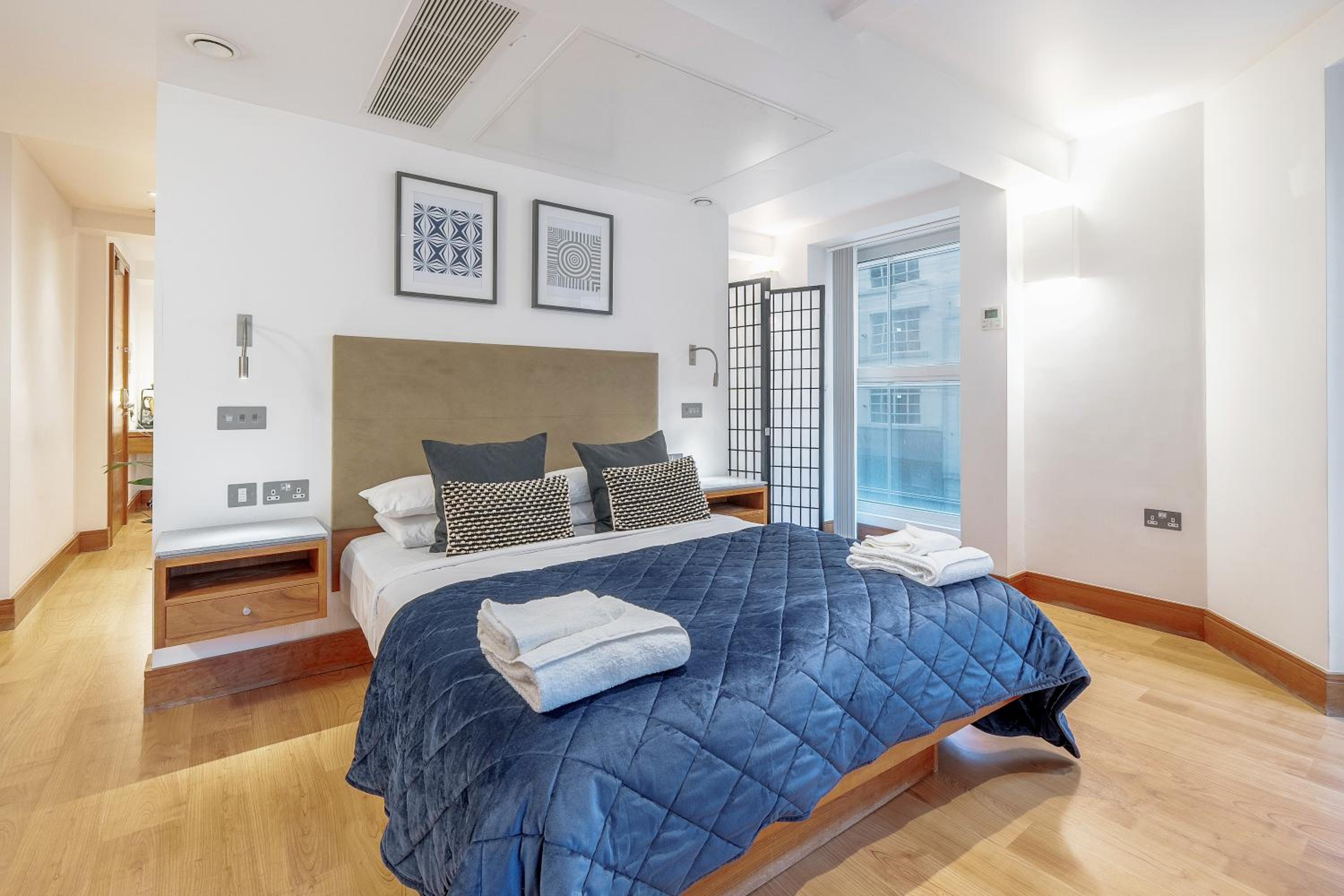Superior One-Bedroom Apartment photo 1