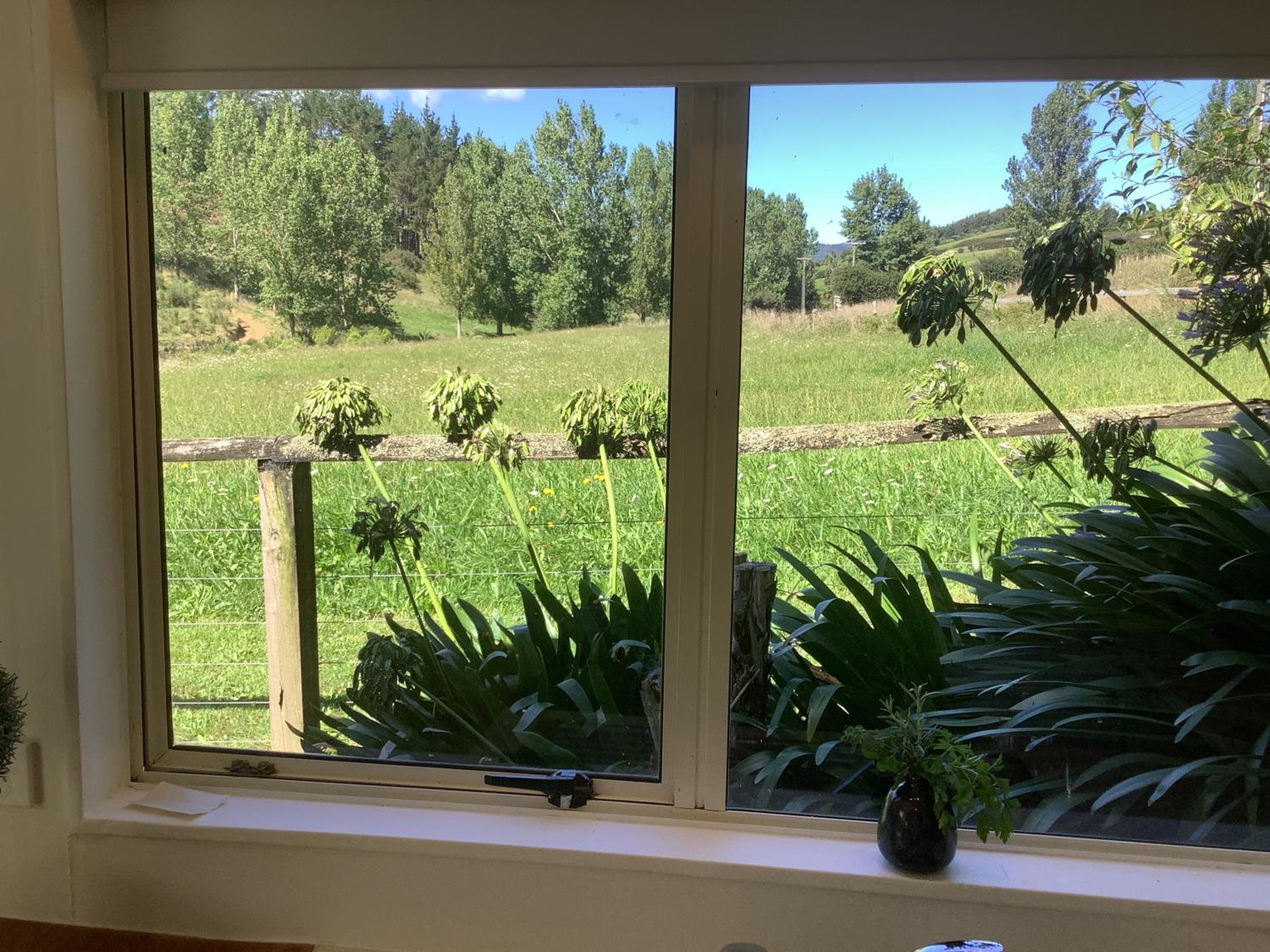 Apartment With Garden View photo 3
