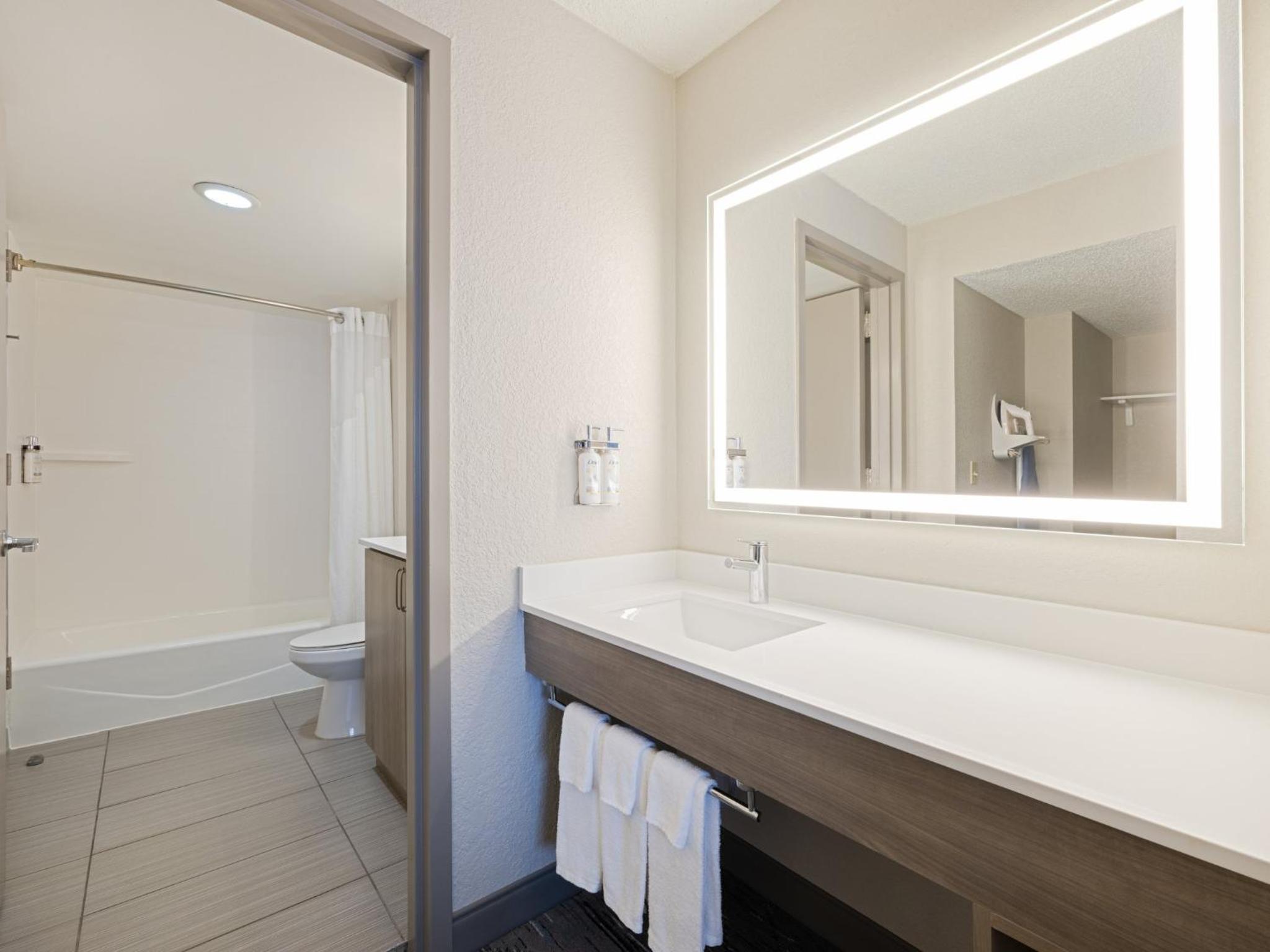 One-Bedroom King Suite - Photo 7