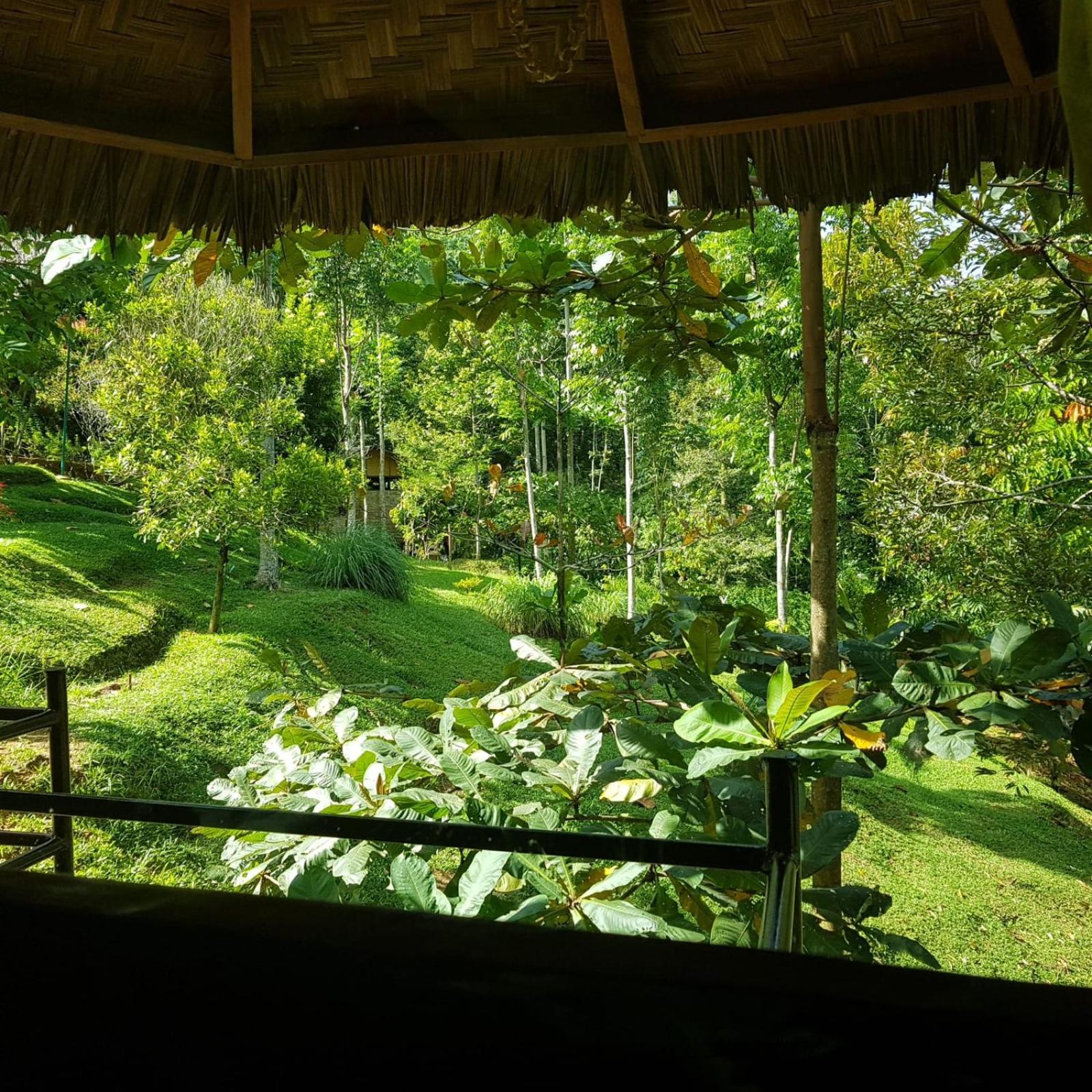 Superior Villa photo 2