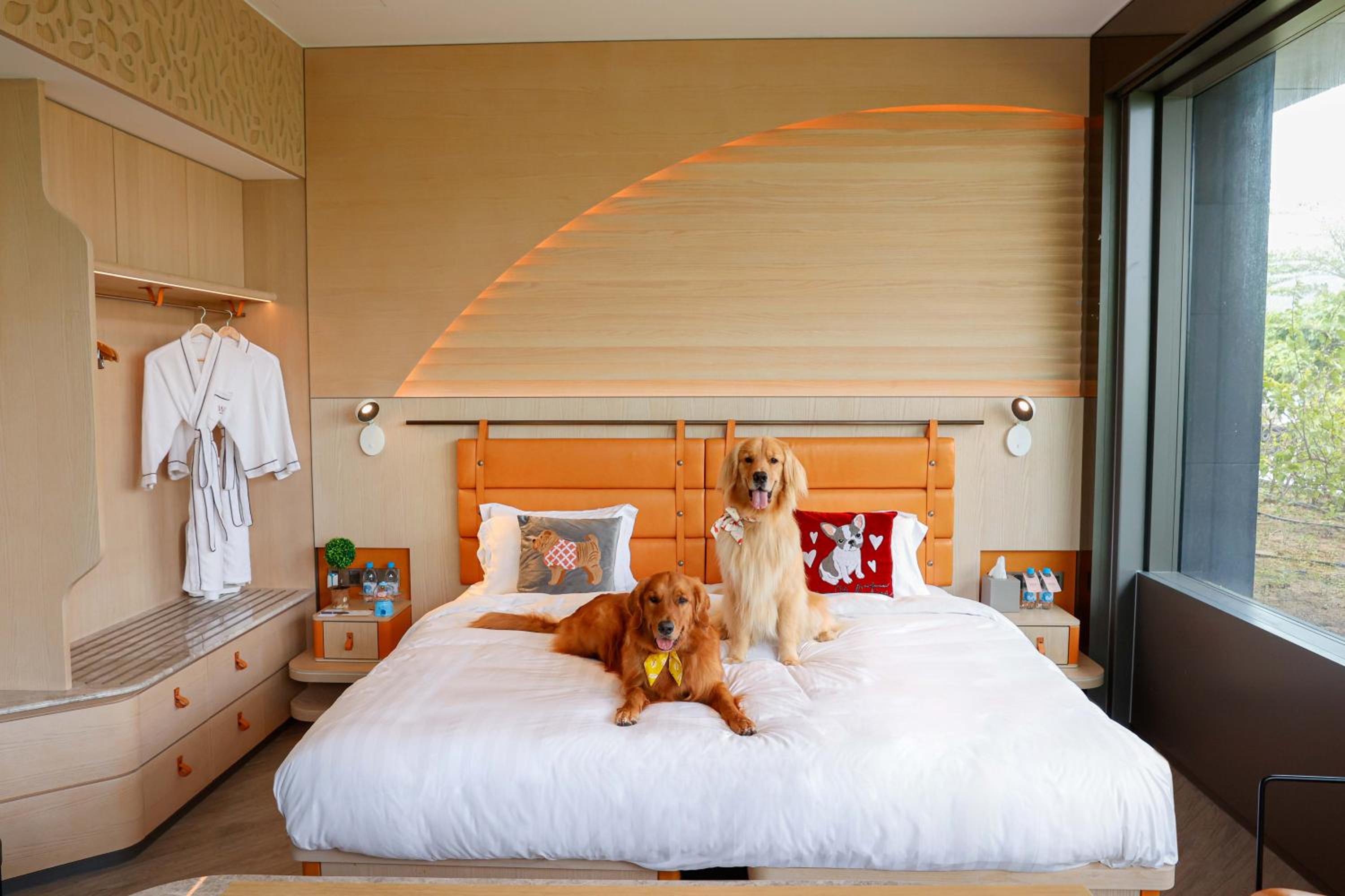 King Suite with Terrace Access - Dog-Friendly King Suite with Terrace Access - Dog-Friendly