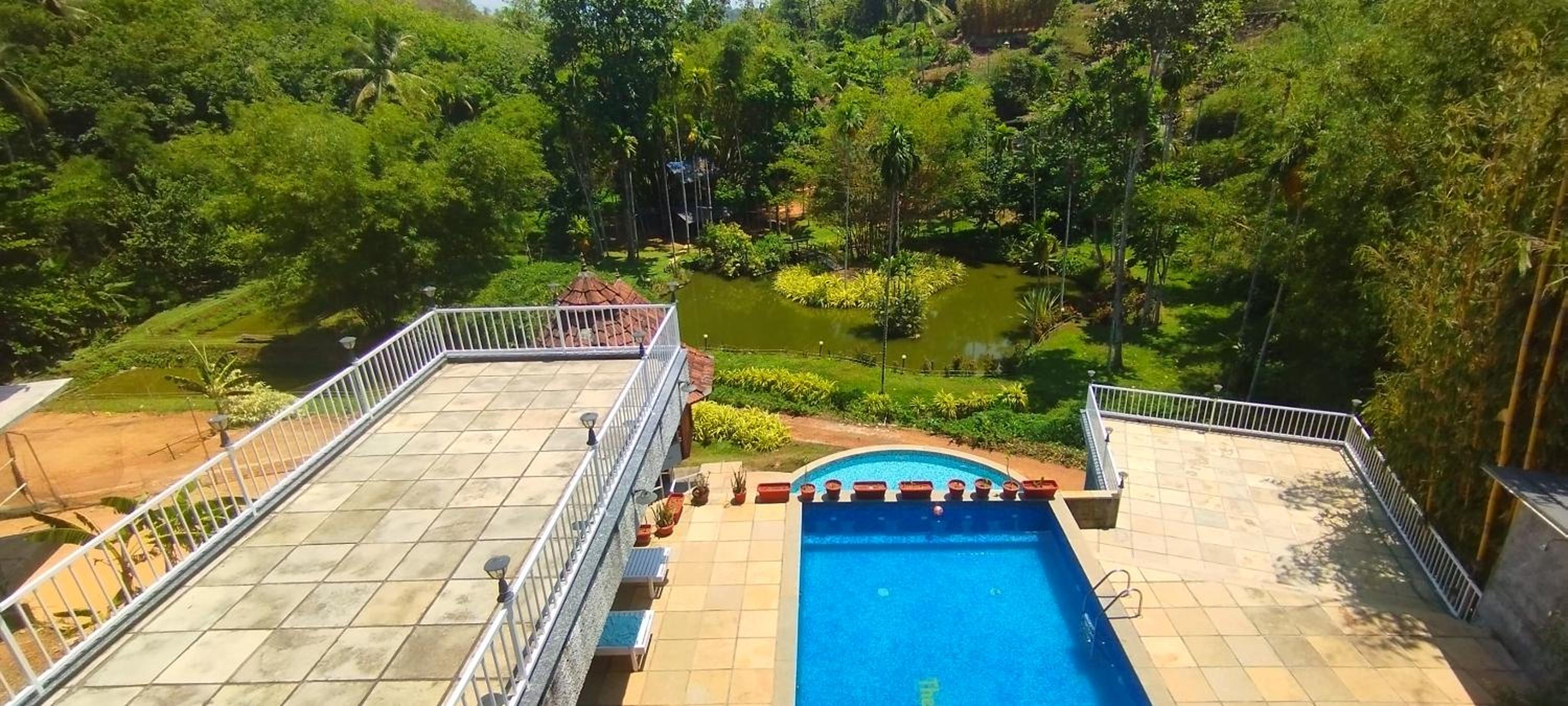 Double Room With Pool View photo 2