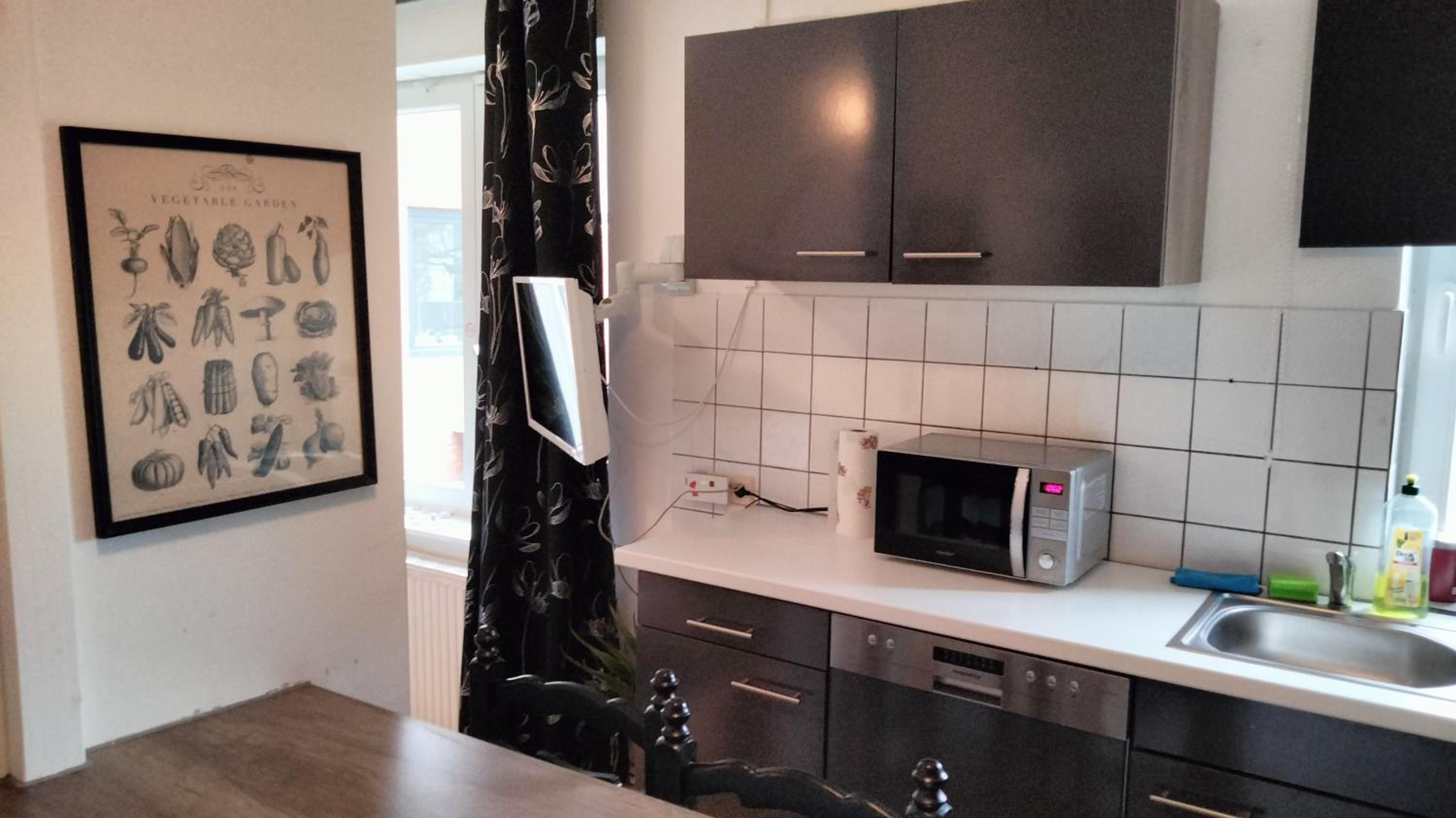 Studio Apartment photo 3