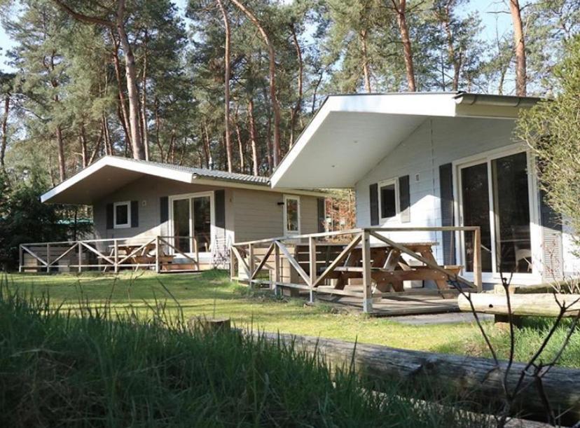 Three-Bedroom Chalet photo 2