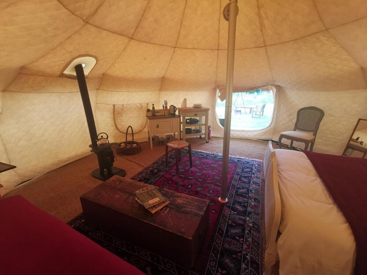 Tent photo 3