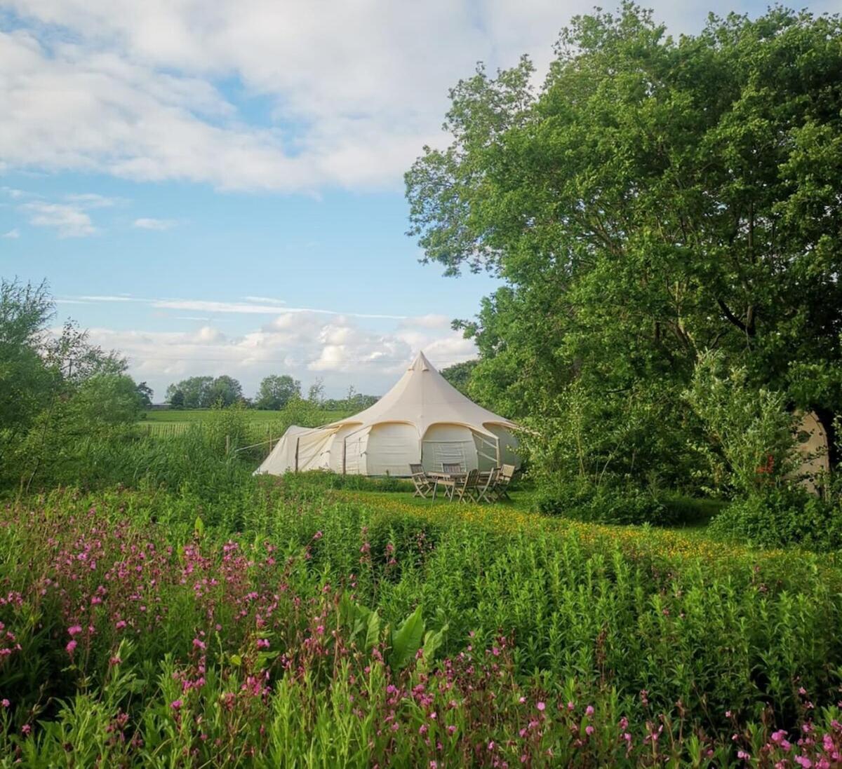 Tent photo 3
