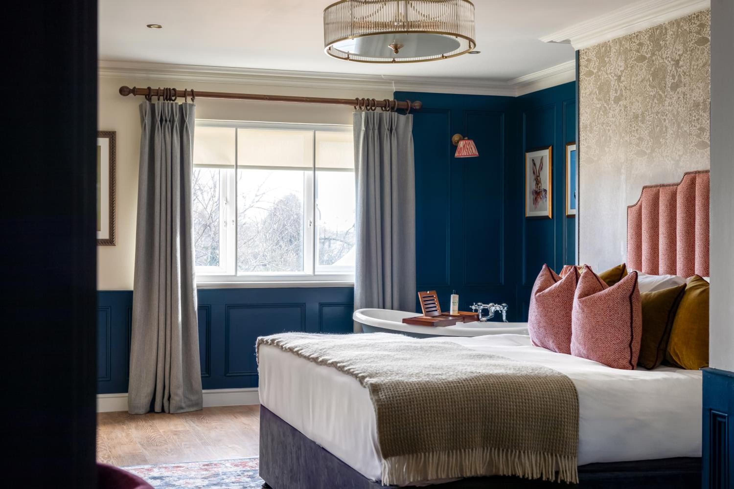 Suite - Photo 1