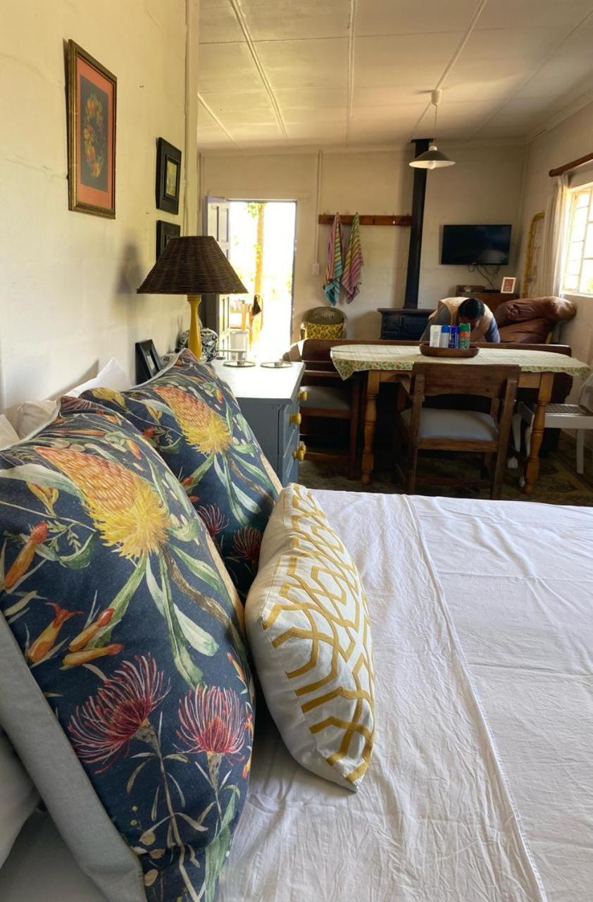 Suite - Photo 13
