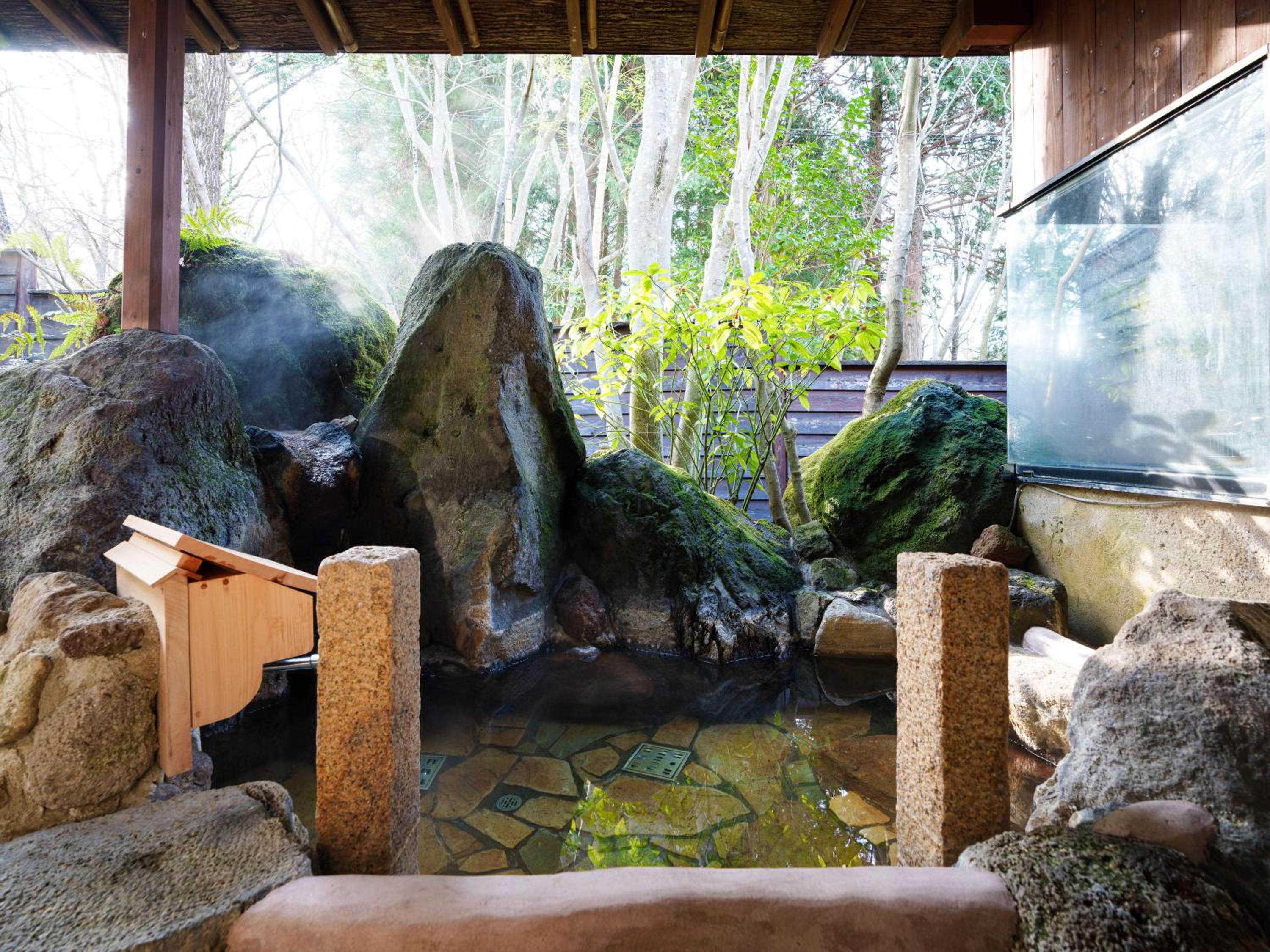 Stylish Twin Room with Open-Air Bath photo 2
