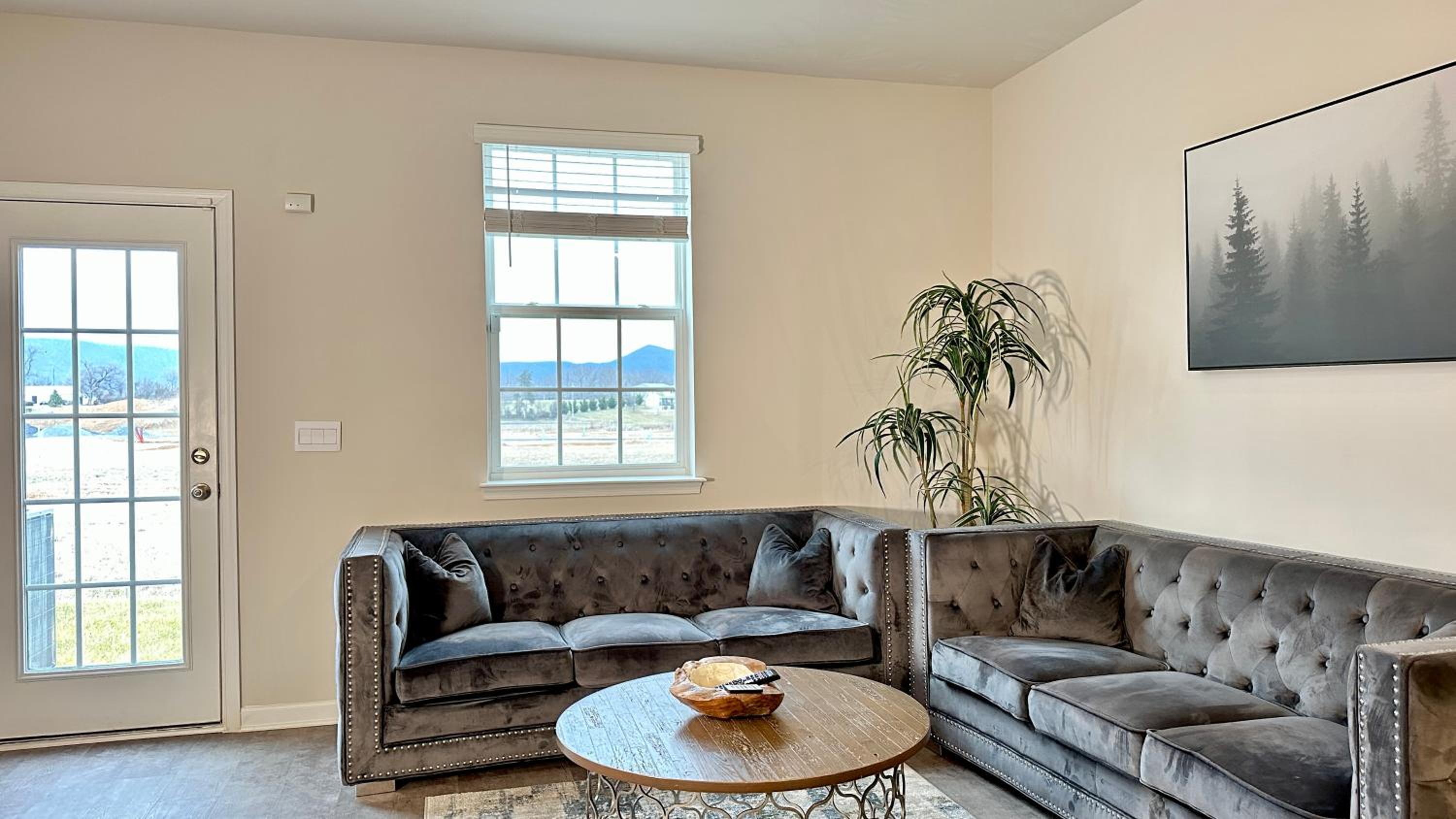 Three-Bedroom House photo 3