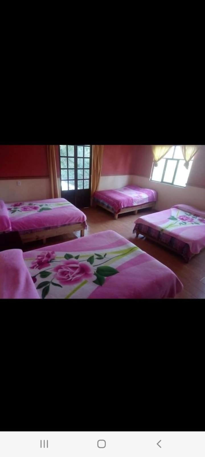 Quadruple Room with Garden View photo 1