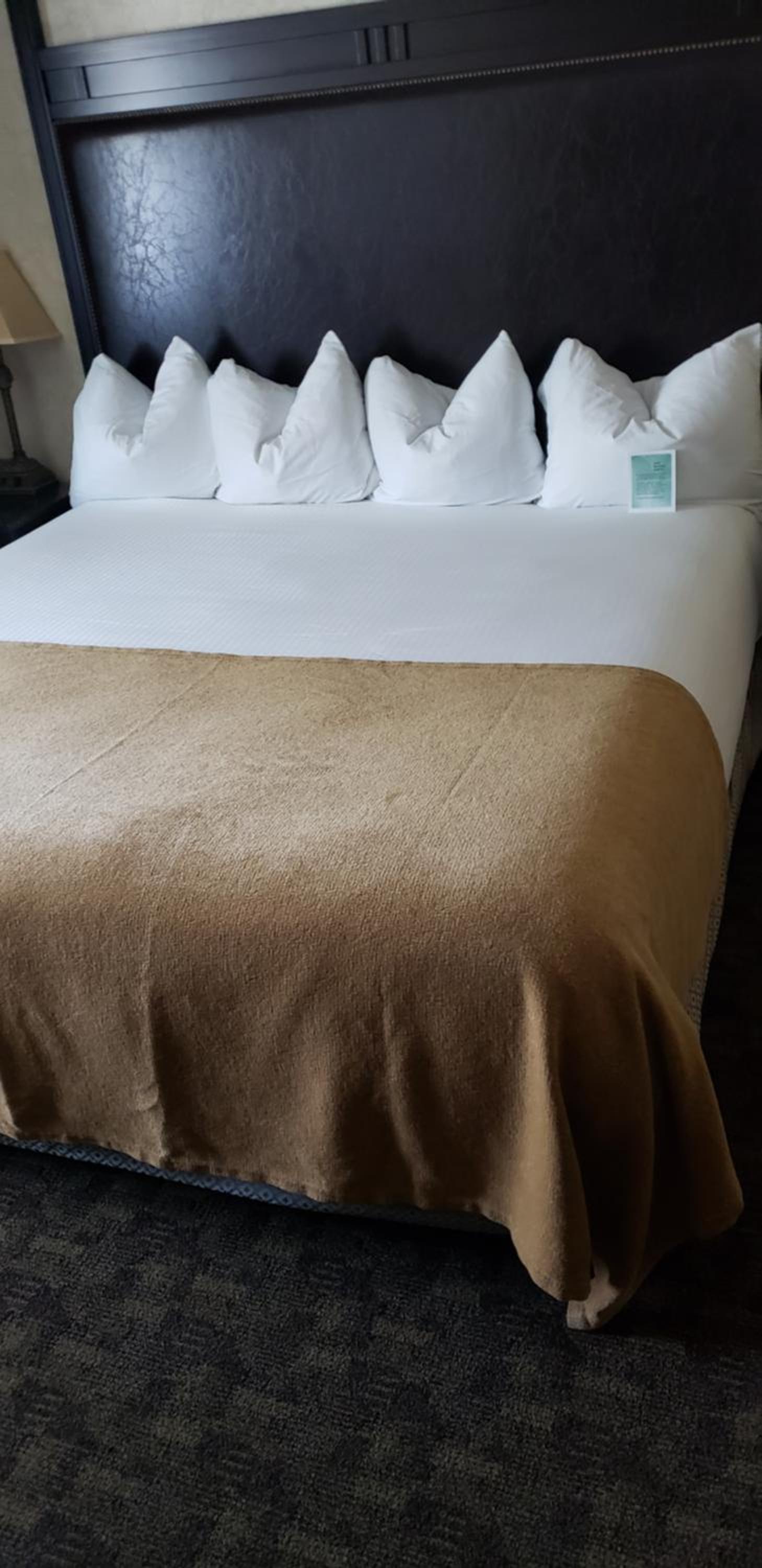 Deluxe Single Room photo 1