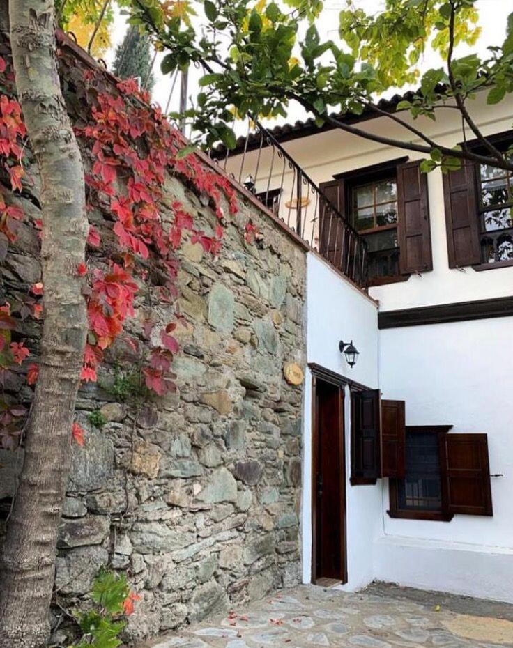 Double Room with Garden View photo 2