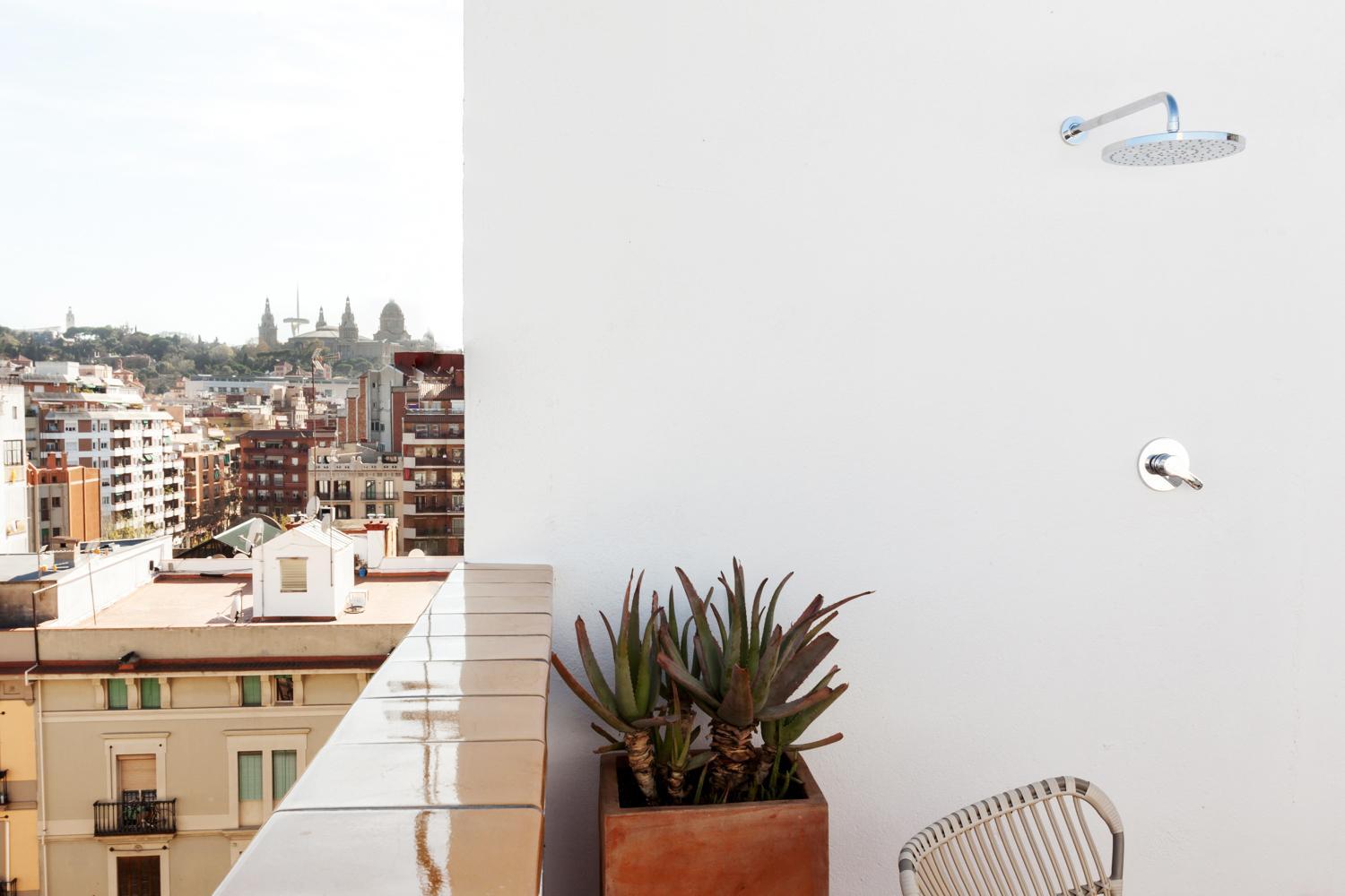 Apartment with Terrace photo 3