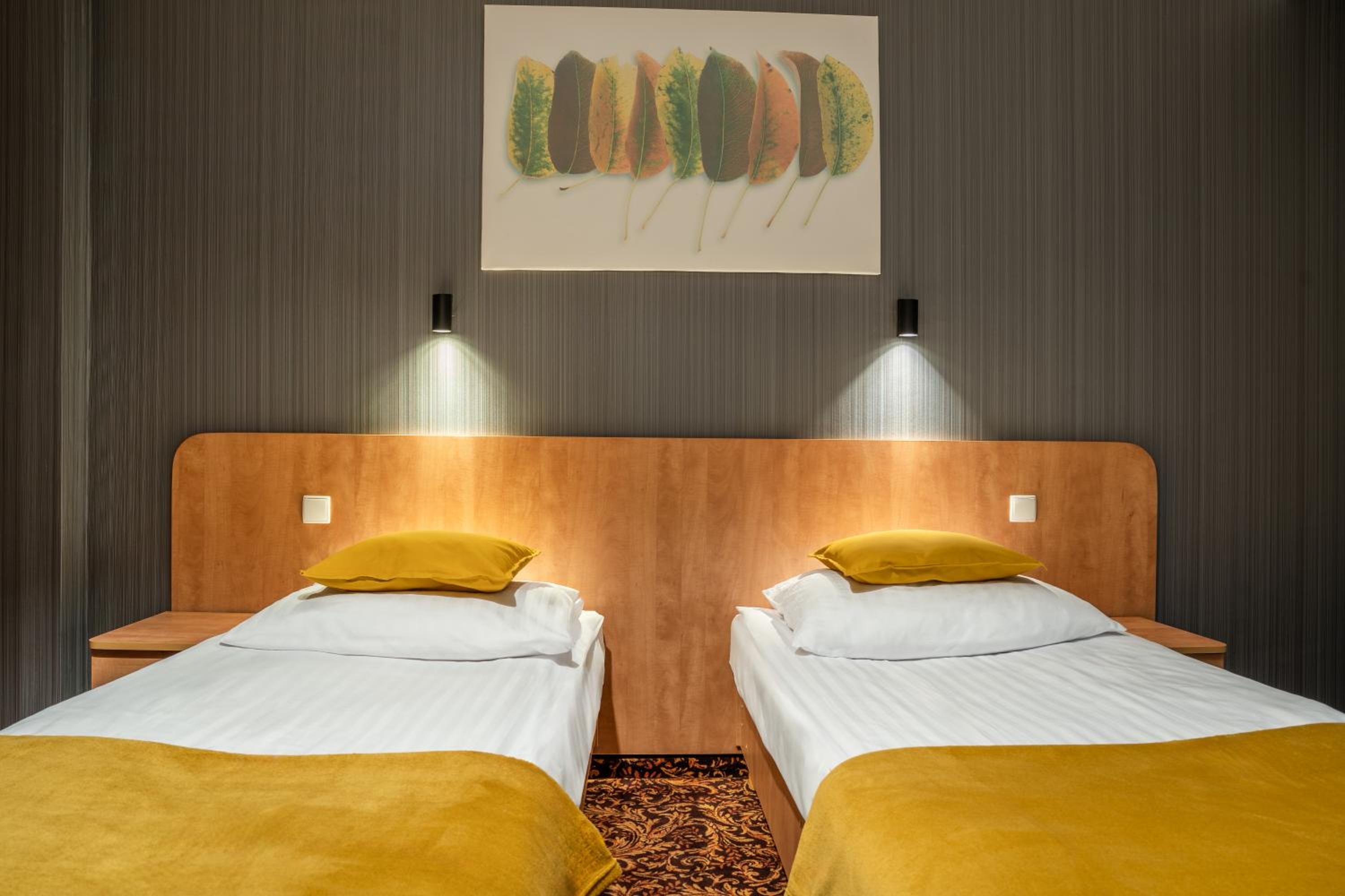 Deluxe Twin Room - Photo 3