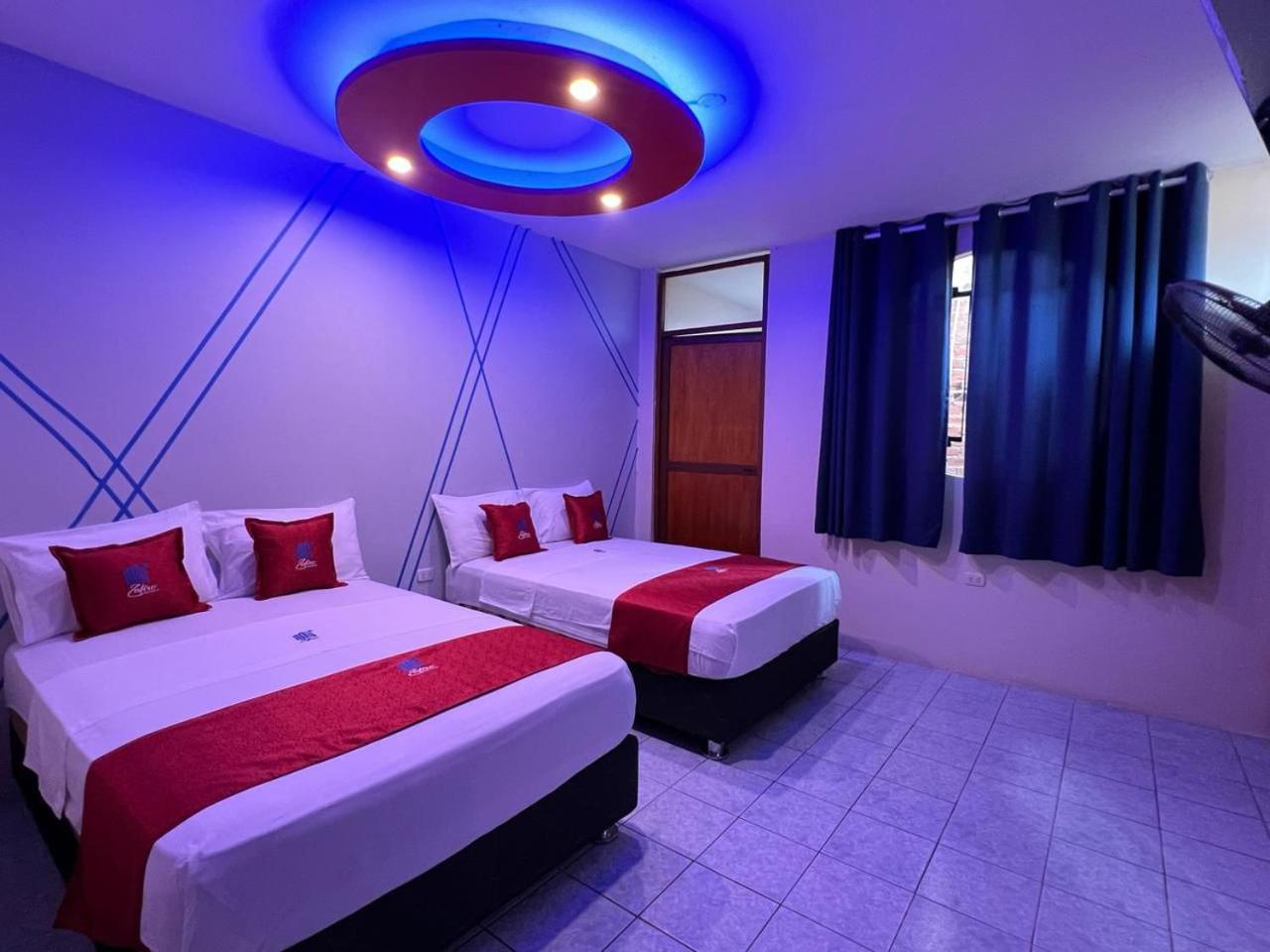 Twin Room photo 1