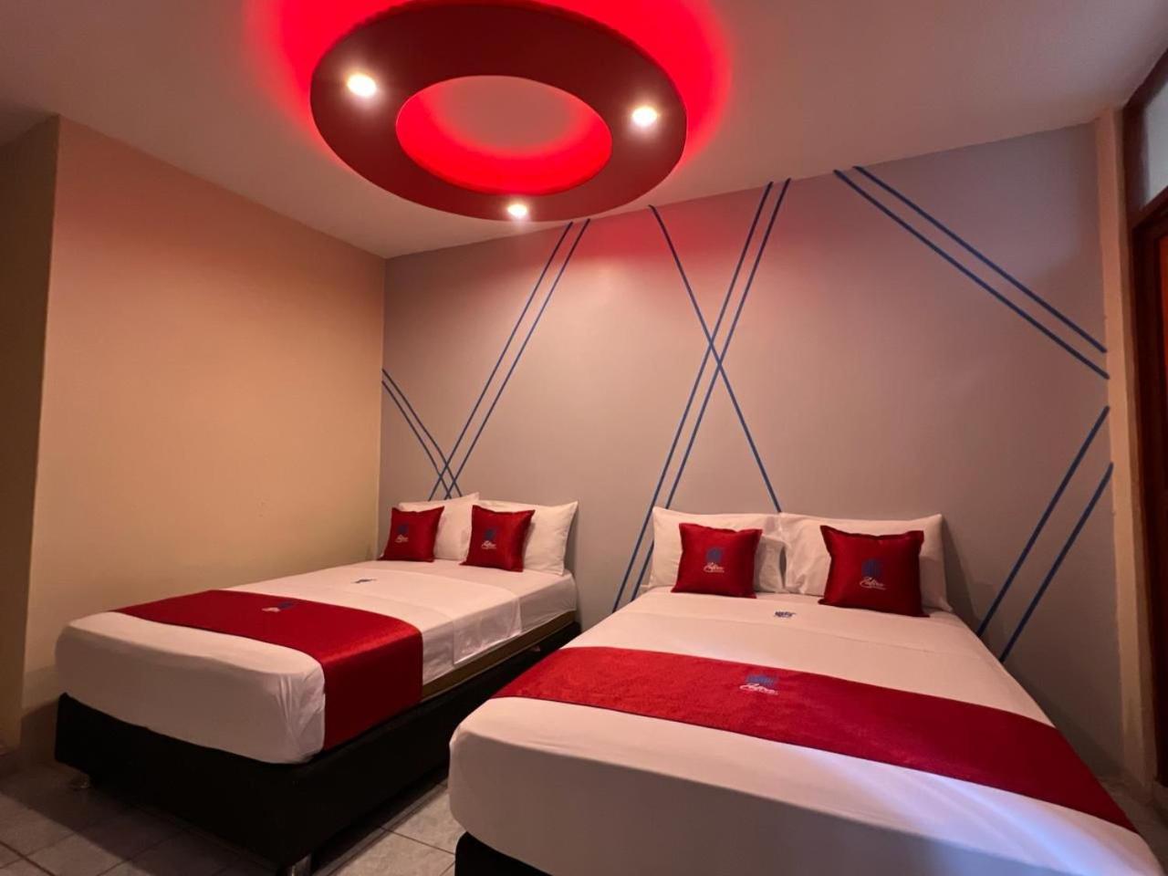Twin Room photo 3
