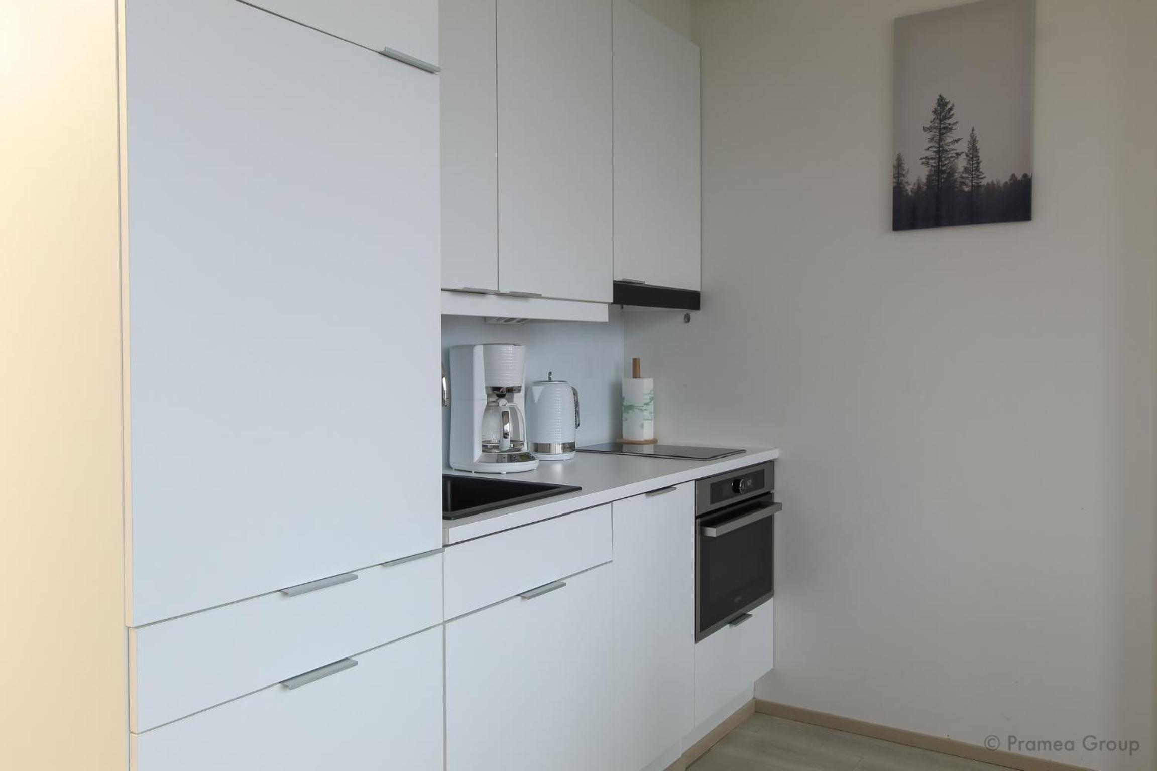 One-Bedroom Apartment photo 2