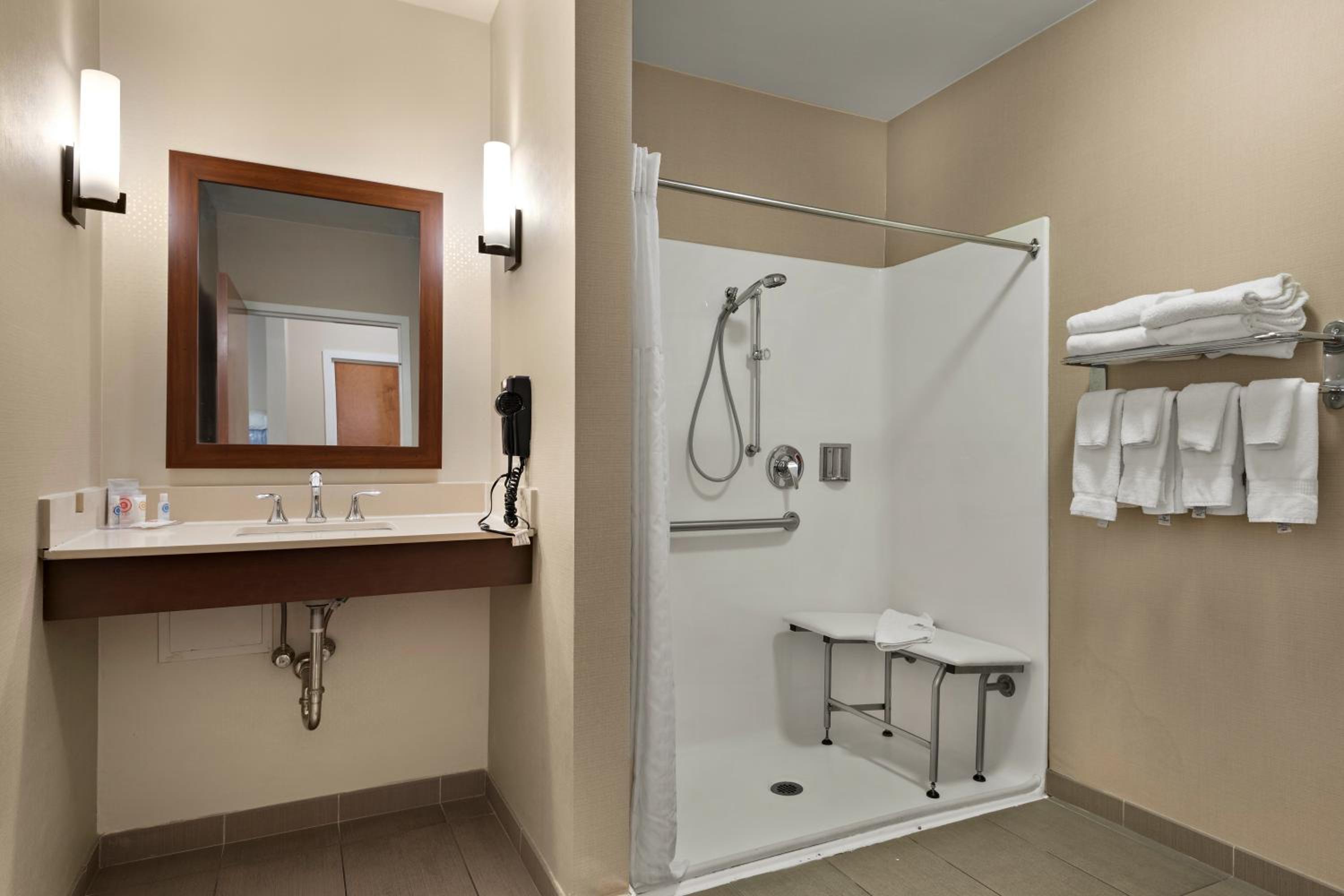 Efficiency One Room Suite with Roll-In Shower - Disability Access/Non Smoking - Photo 2