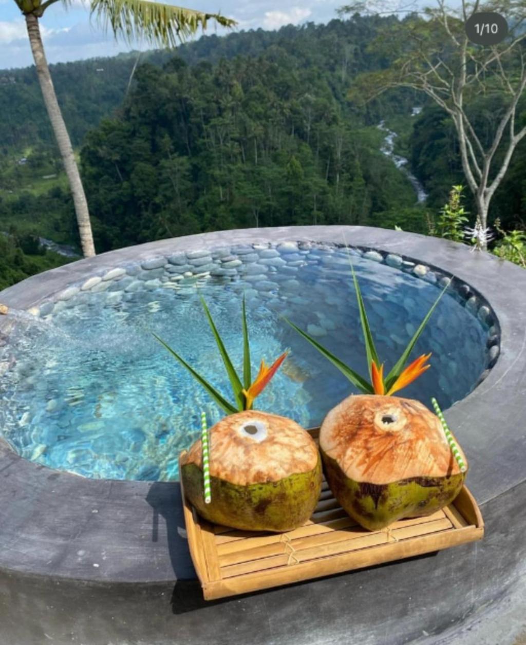 One-Bedroom Valley View with Private Pool - Photo 12