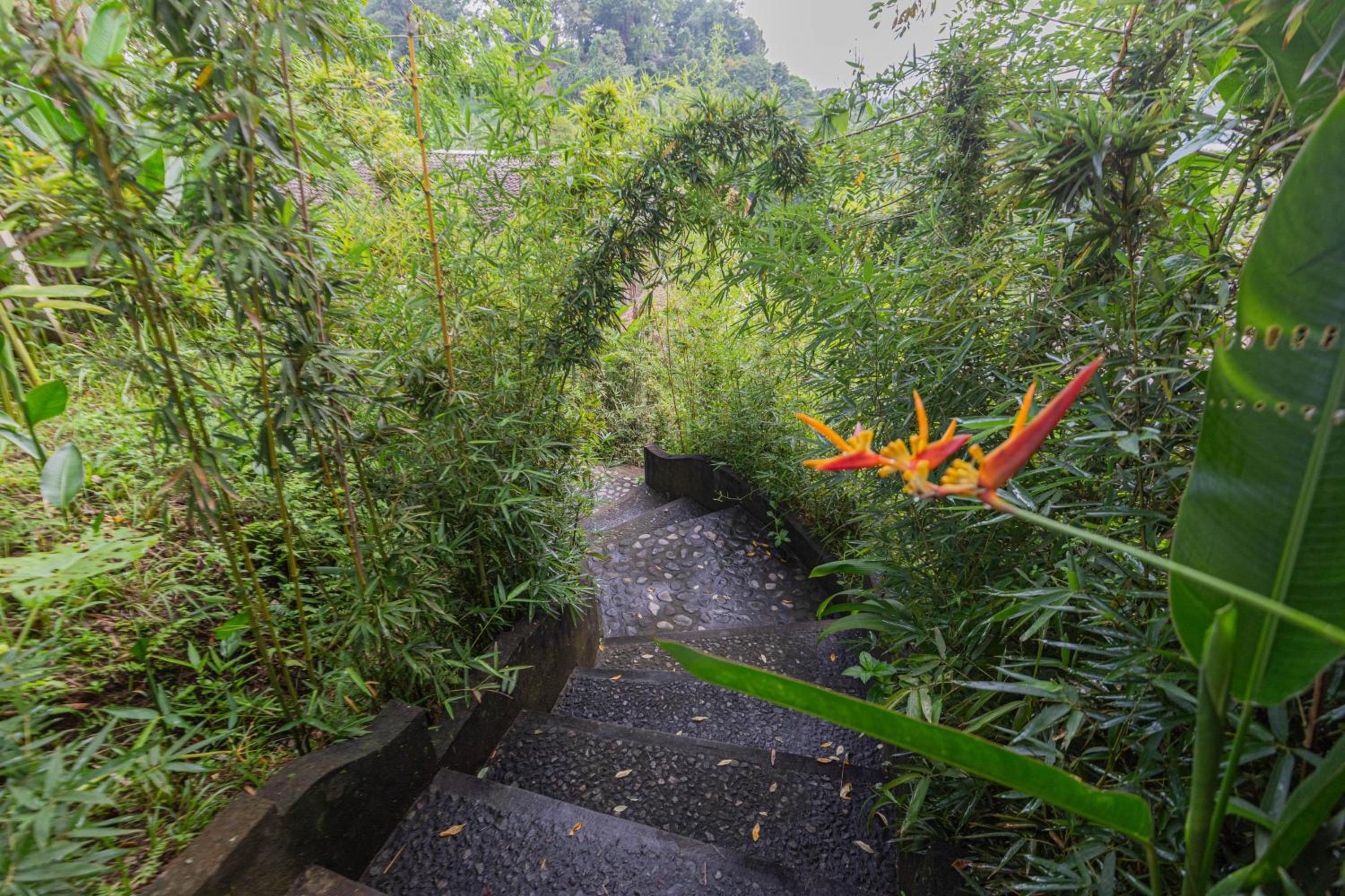 One-Bedroom Valley View with Private Pool - Photo 33