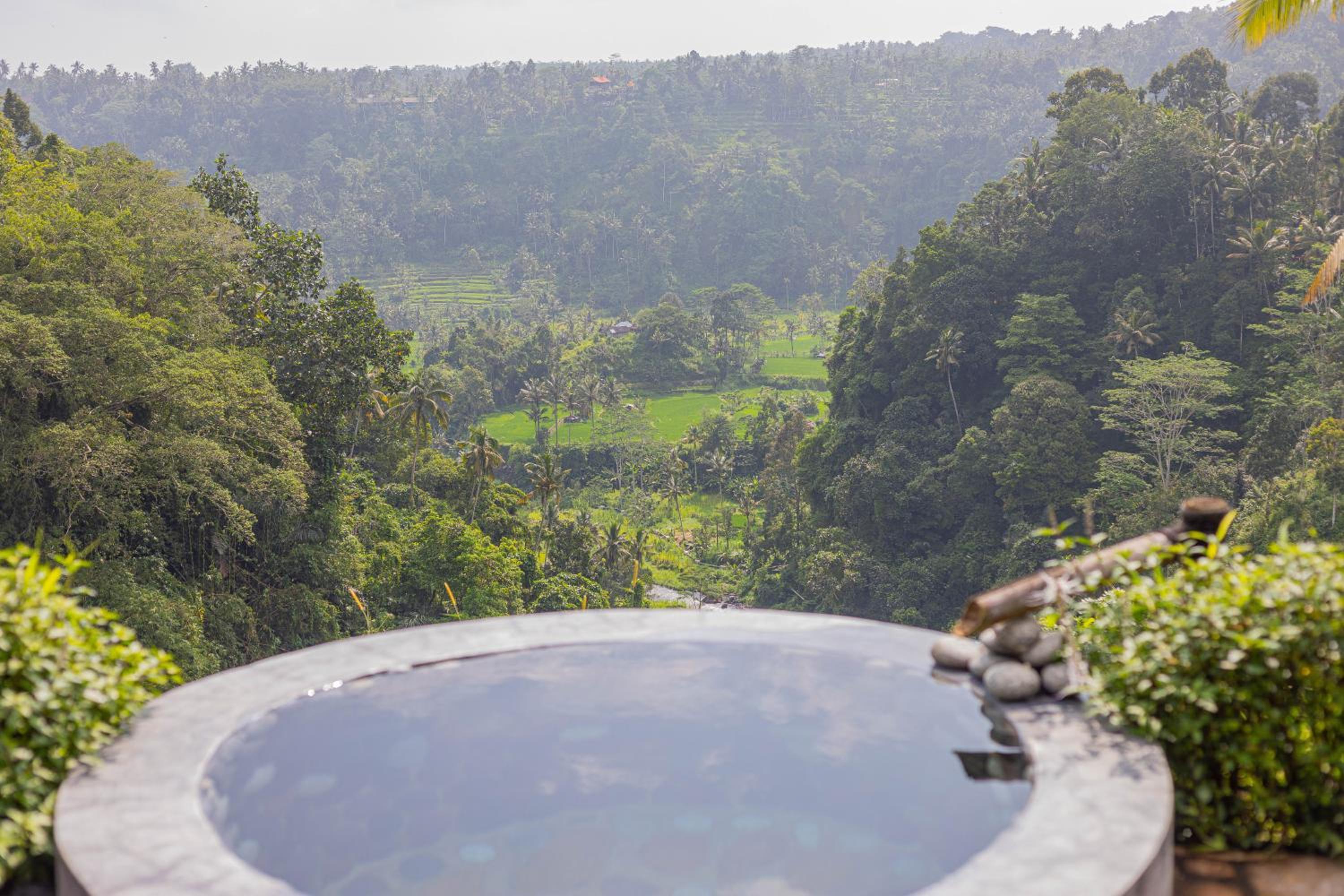 One-Bedroom Valley View with Private Pool - Photo 51