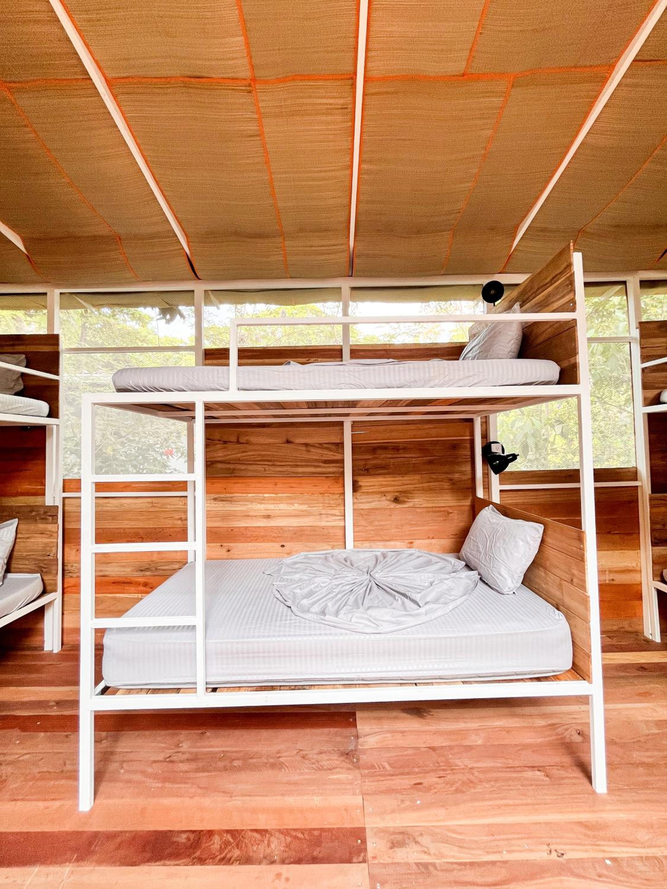 Bed in 6-Bed Mixed Dormitory Room photo 1