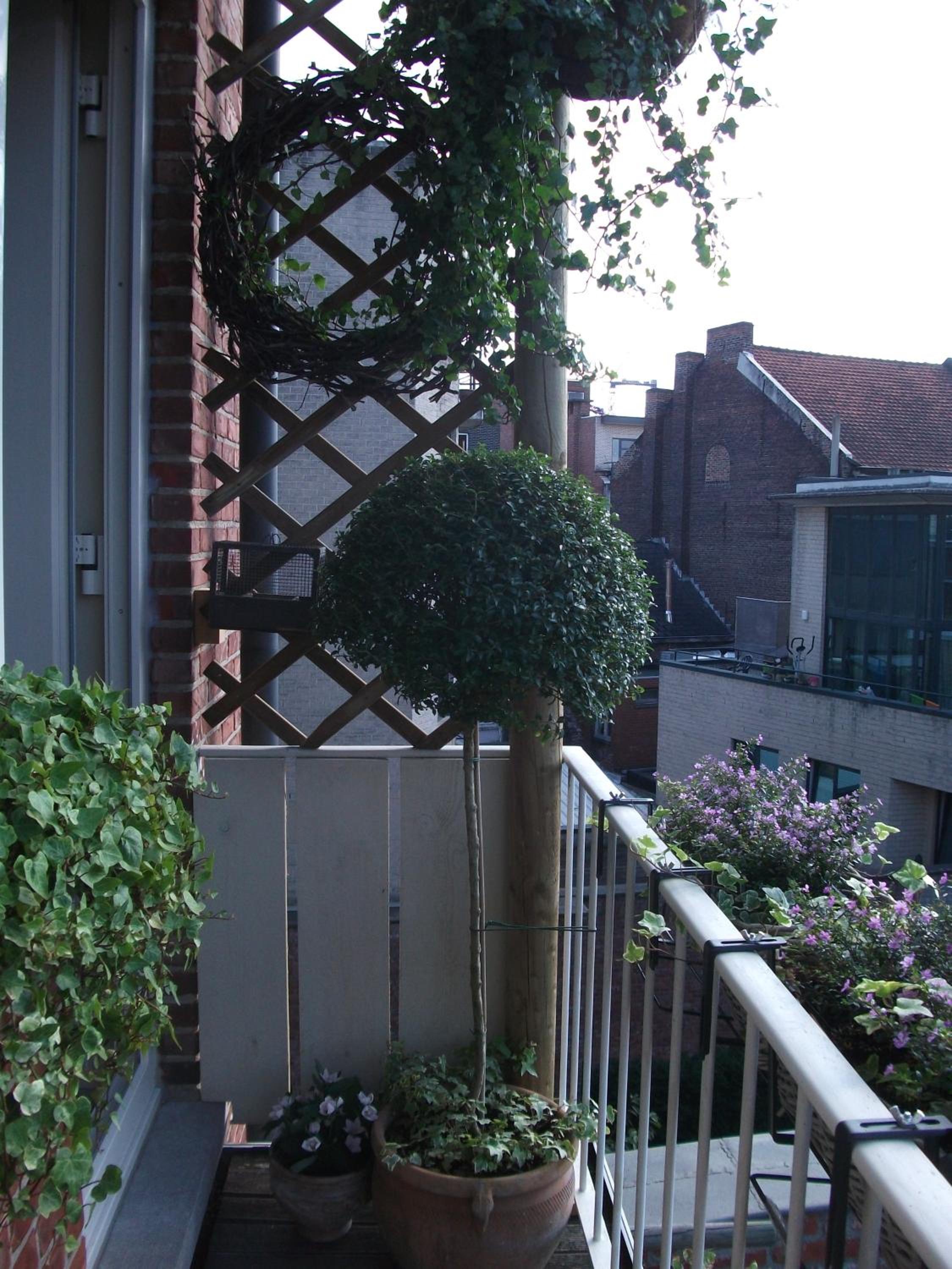 Superior Apartment photo 3