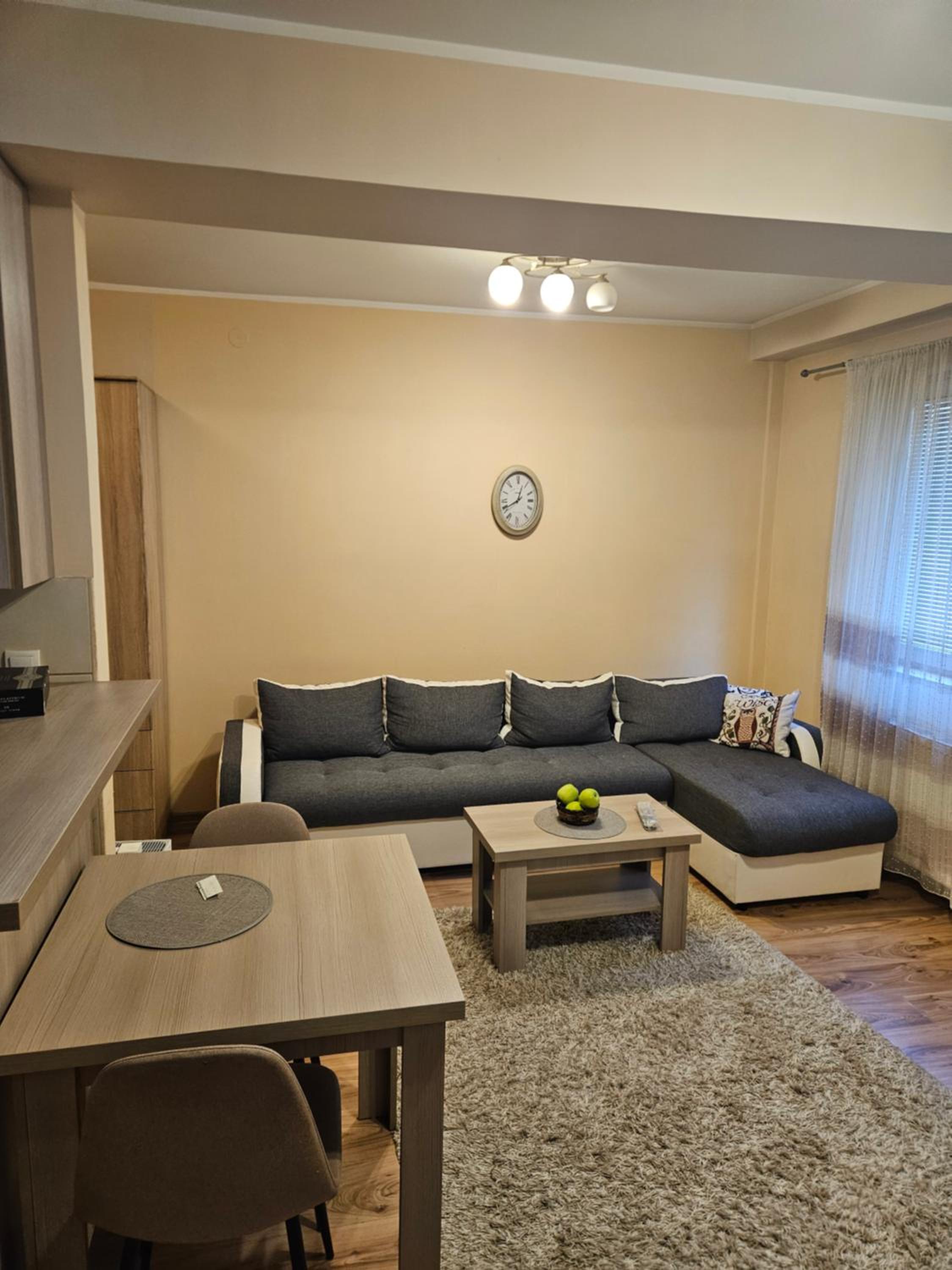 One-Bedroom Apartment photo 1